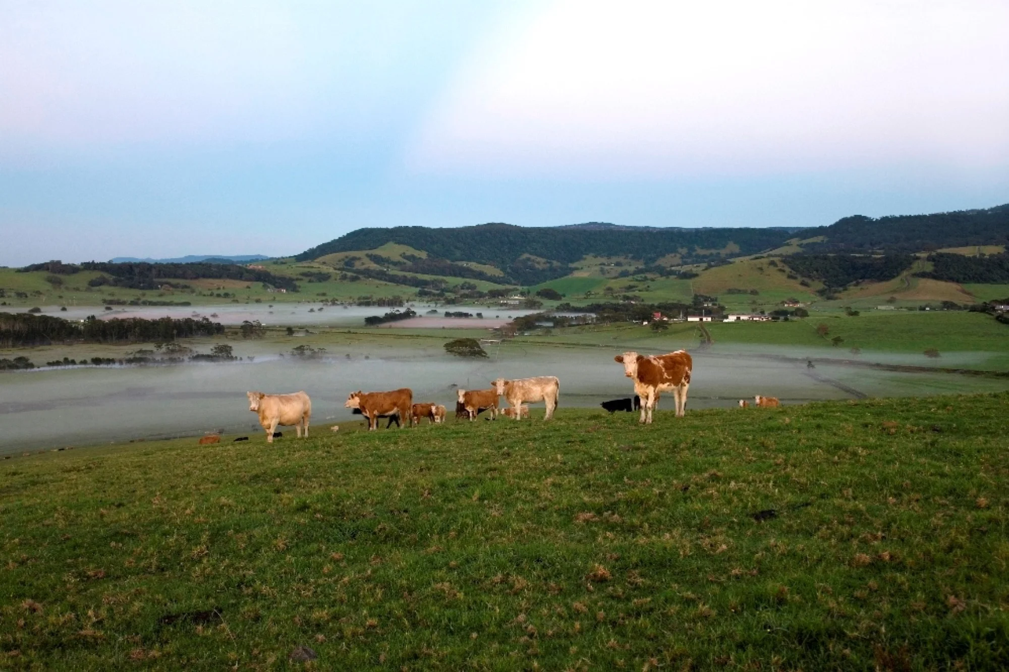 A working farm - and holiday retreat