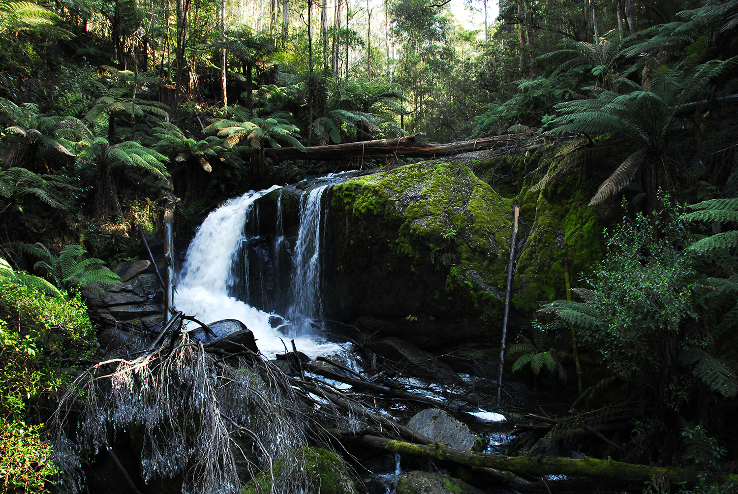 toorongafalls.jpg