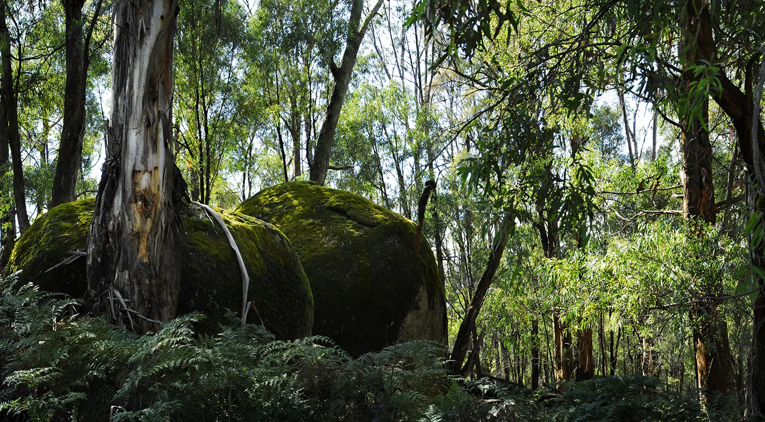 strathbogie2.jpg