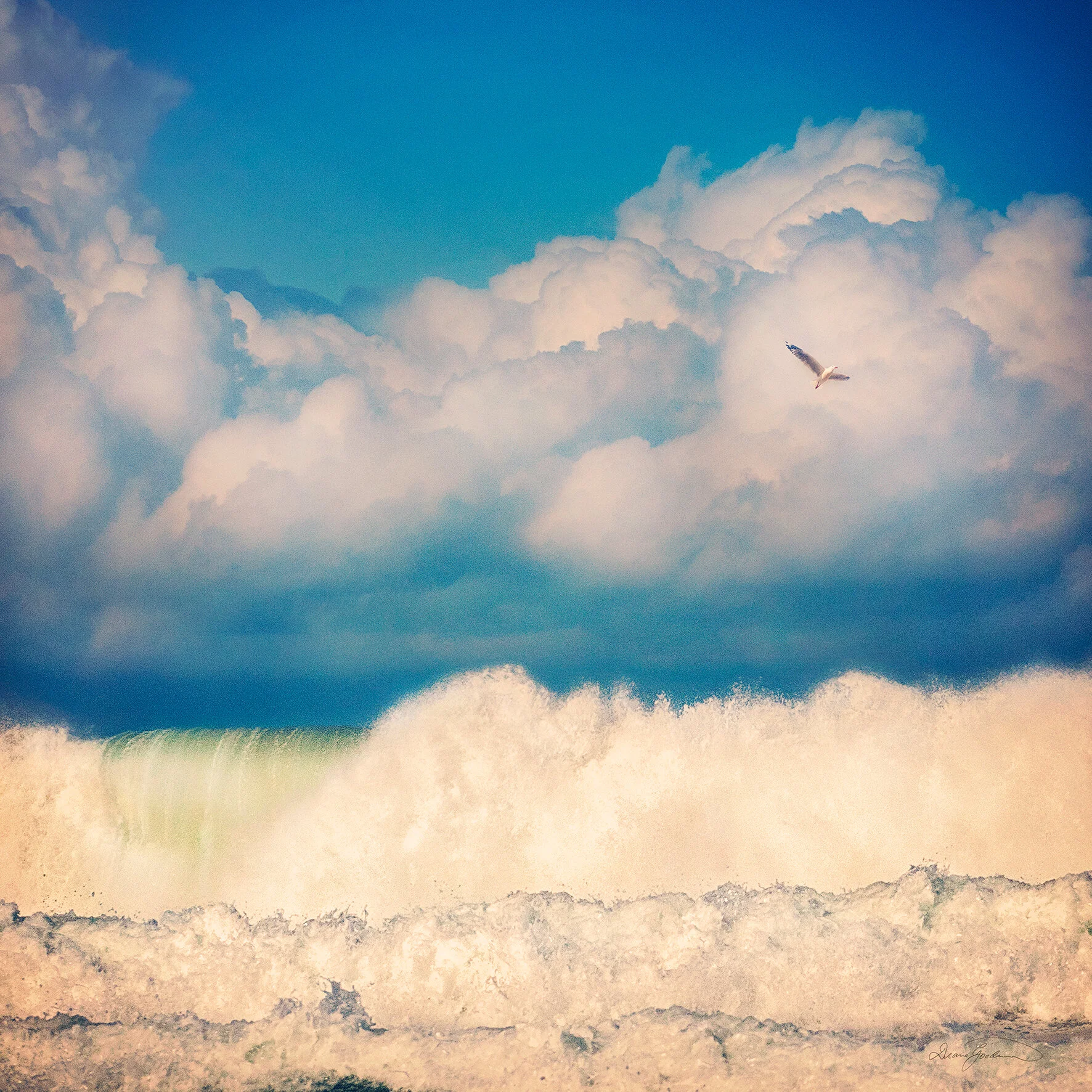 Solitary, Werri Beach