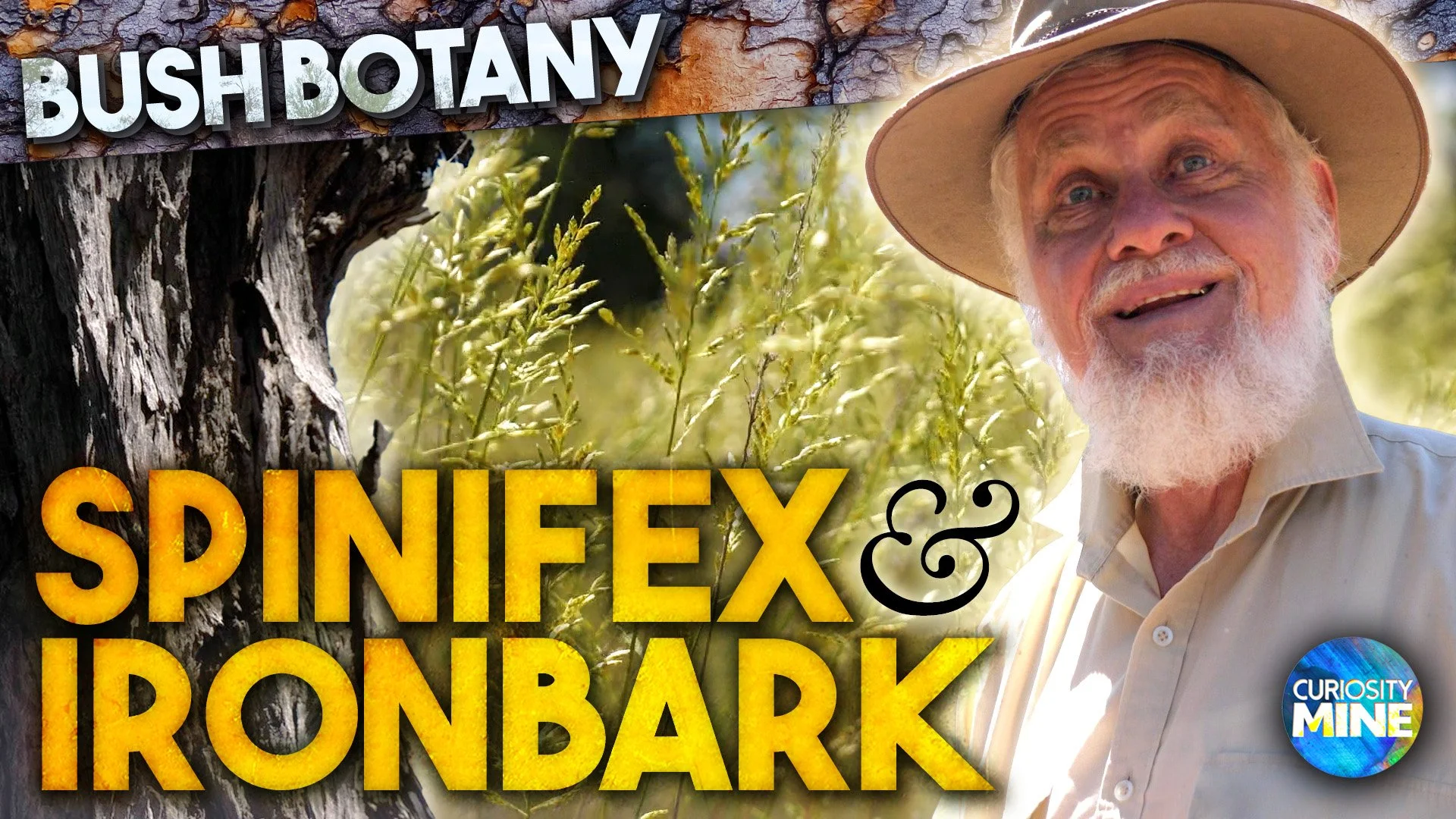 Spinifex &amp; Ironbark &amp; Quantum Physics - Bush Botany @ Lightning Ridge