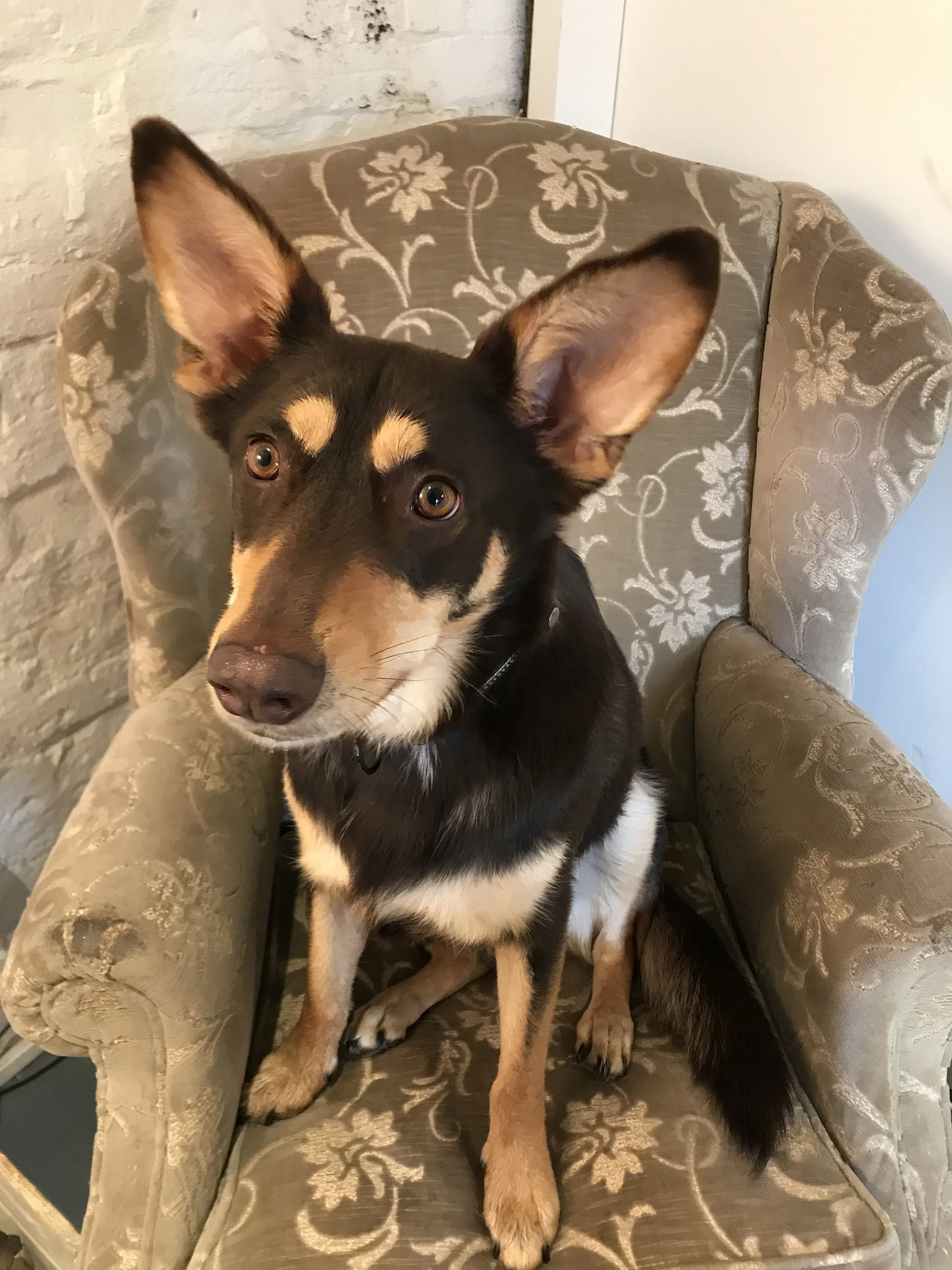 Matthew, Pratchett's pawrent