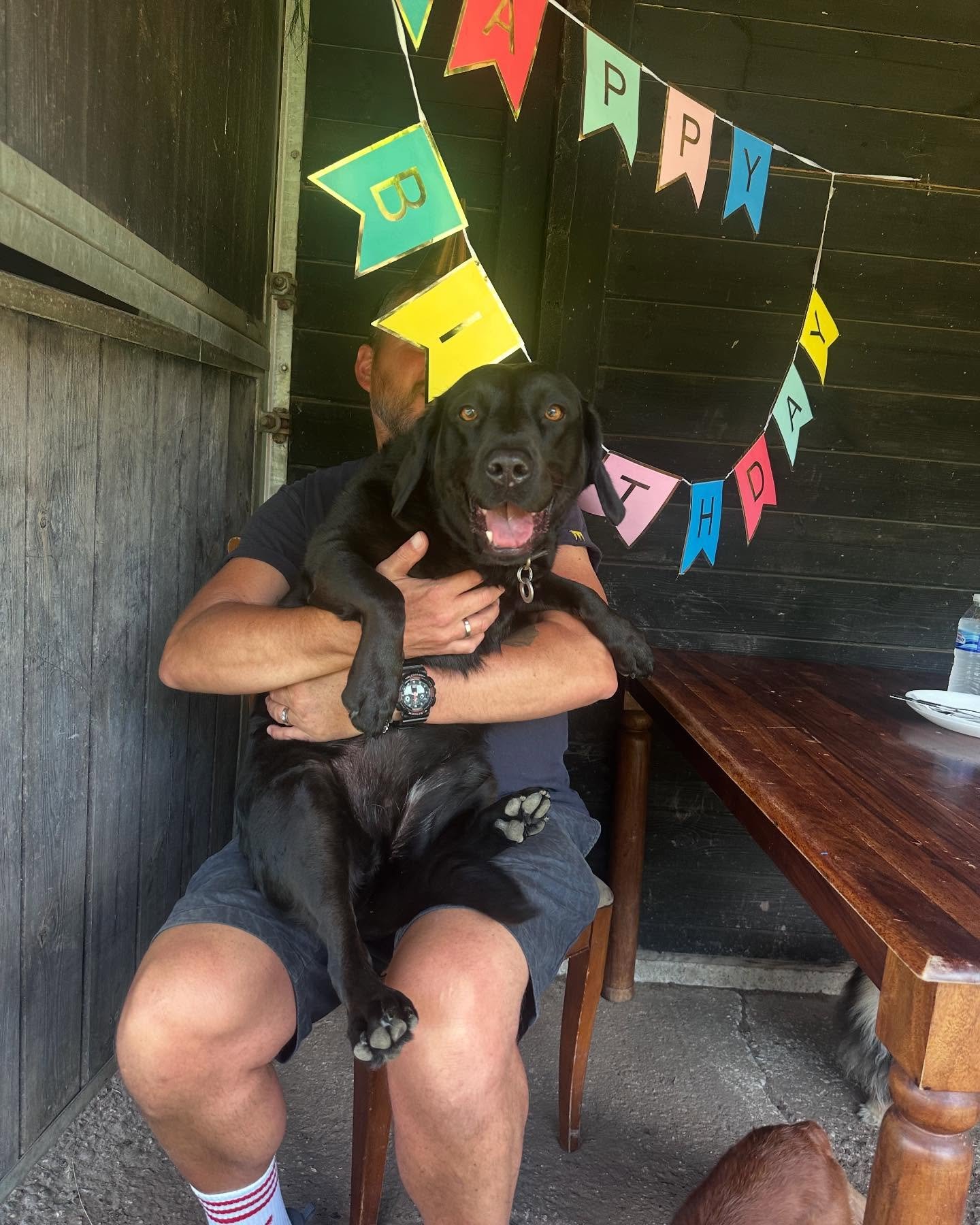 There&rsquo;s only one Tilly. Happy birthday sweet girl. 
We ❤️ you weirdo xxx

@springadorstillyandruby @imogen.hathaway 

#georgeandfriends #doggydaycarehackney #doggydaycarehackneydowns #hackney #london #homerton #shoplocal #visitlondon #clapton #