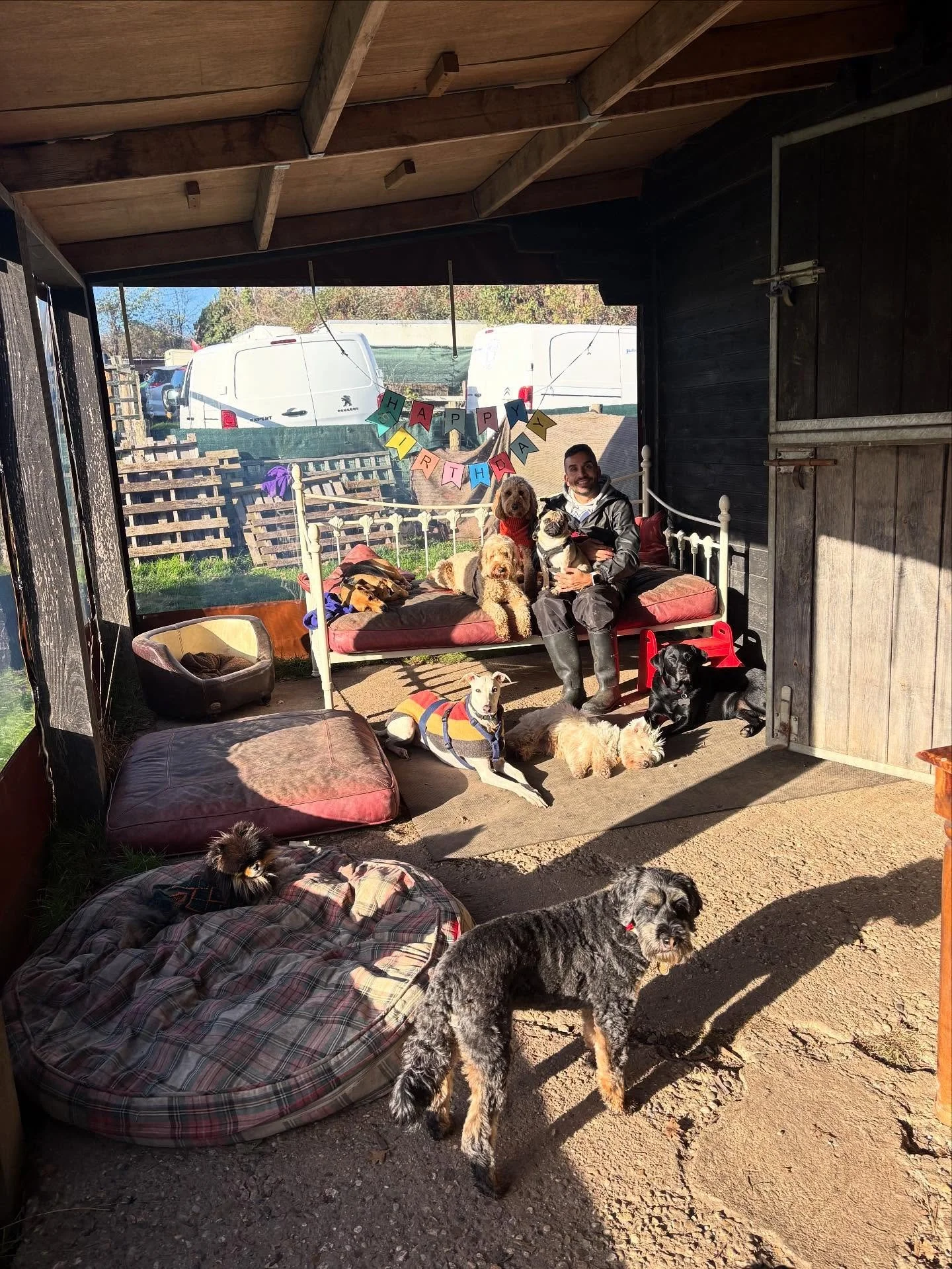 Our little sun trap.

@sir_ralph_pomelot @adayinthefield_doggiedaycare @truffle.sausage @liz_anne_chapman 

#georgeandfriends #doggydaycarehackney #doggydaycarehackneydowns #hackney #london #homerton #shoplocal #visitlondon #clapton #hackneydogs #dog