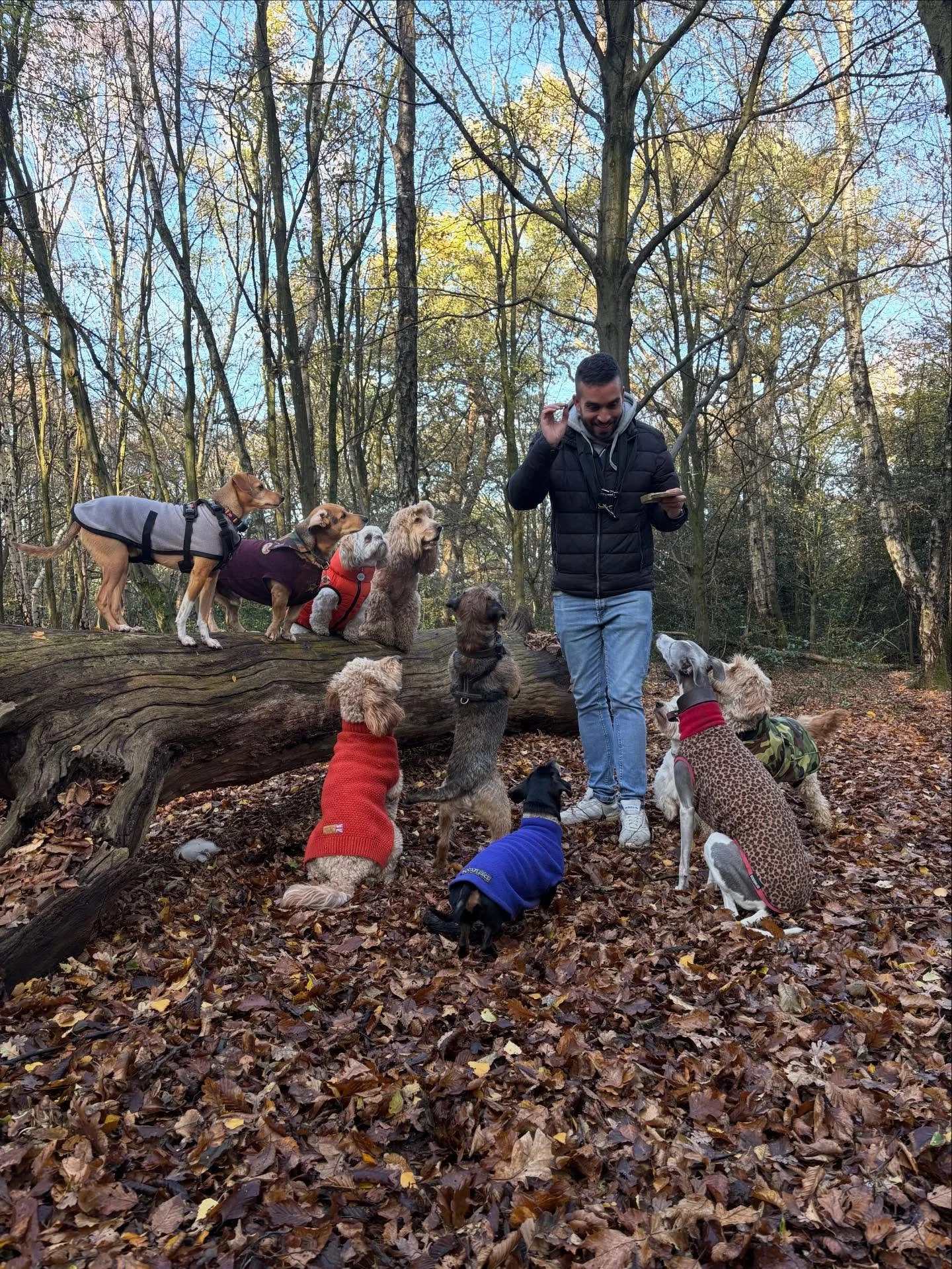 Pawfect end to what has been a pretty brutal week.

@adayinthefield_doggiedaycare @actheveny @bootsthewonderdog @lynne.james1 @liz_anne_chapman @theduchessofdalston 

#georgeandfriends #doggydaycarehackney #doggydaycarehackneydowns #hackney #london #