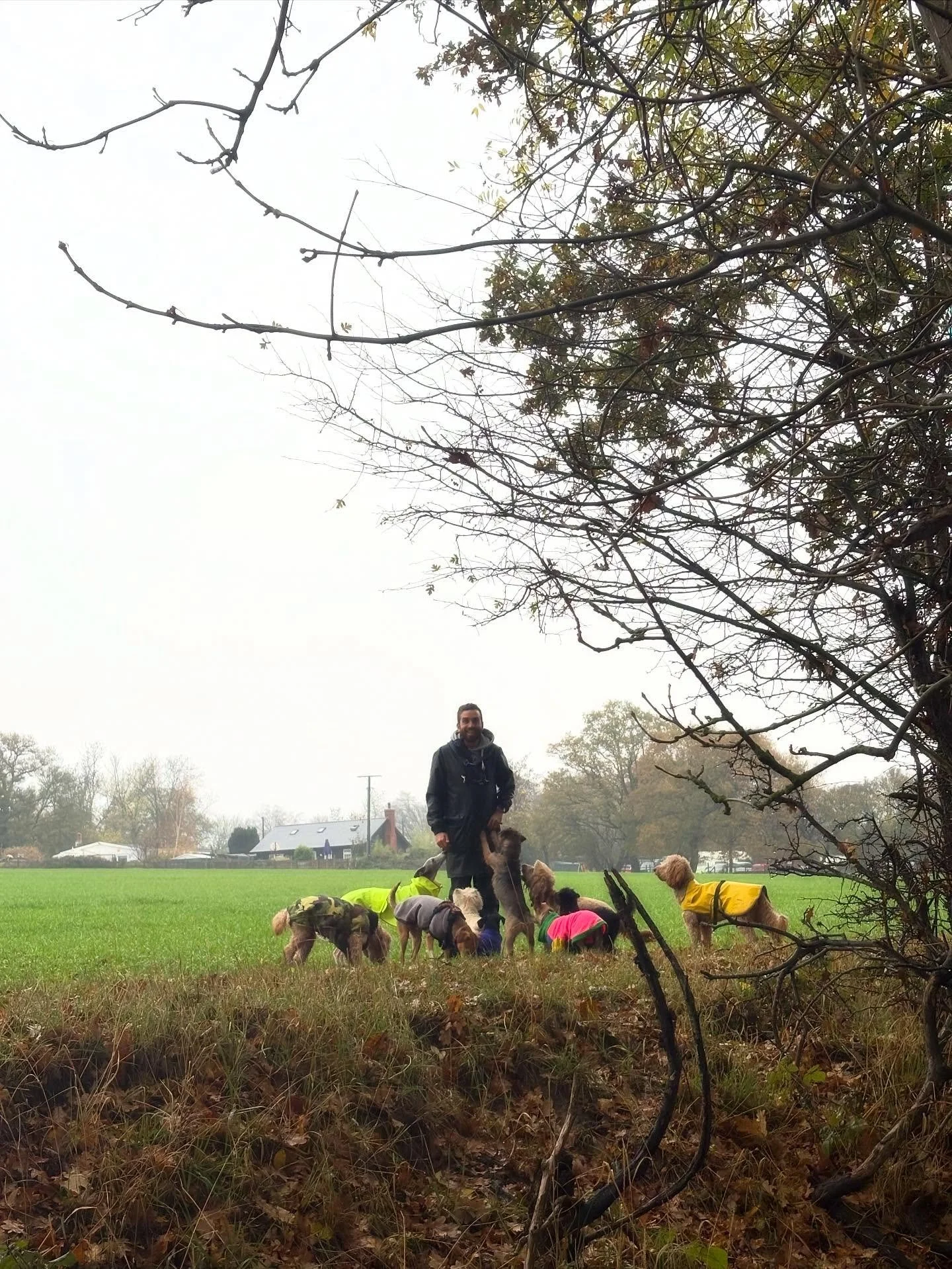 It&rsquo;s a privilege to spend everyday at the field with @adayinthefield_doggiedaycare, come ☔️ or ☀️.

#georgeandfriends #doggydaycarehackney #doggydaycarehackneydowns #hackney #london #homerton #shoplocal #visitlondon #clapton #hackneydogs #dogso