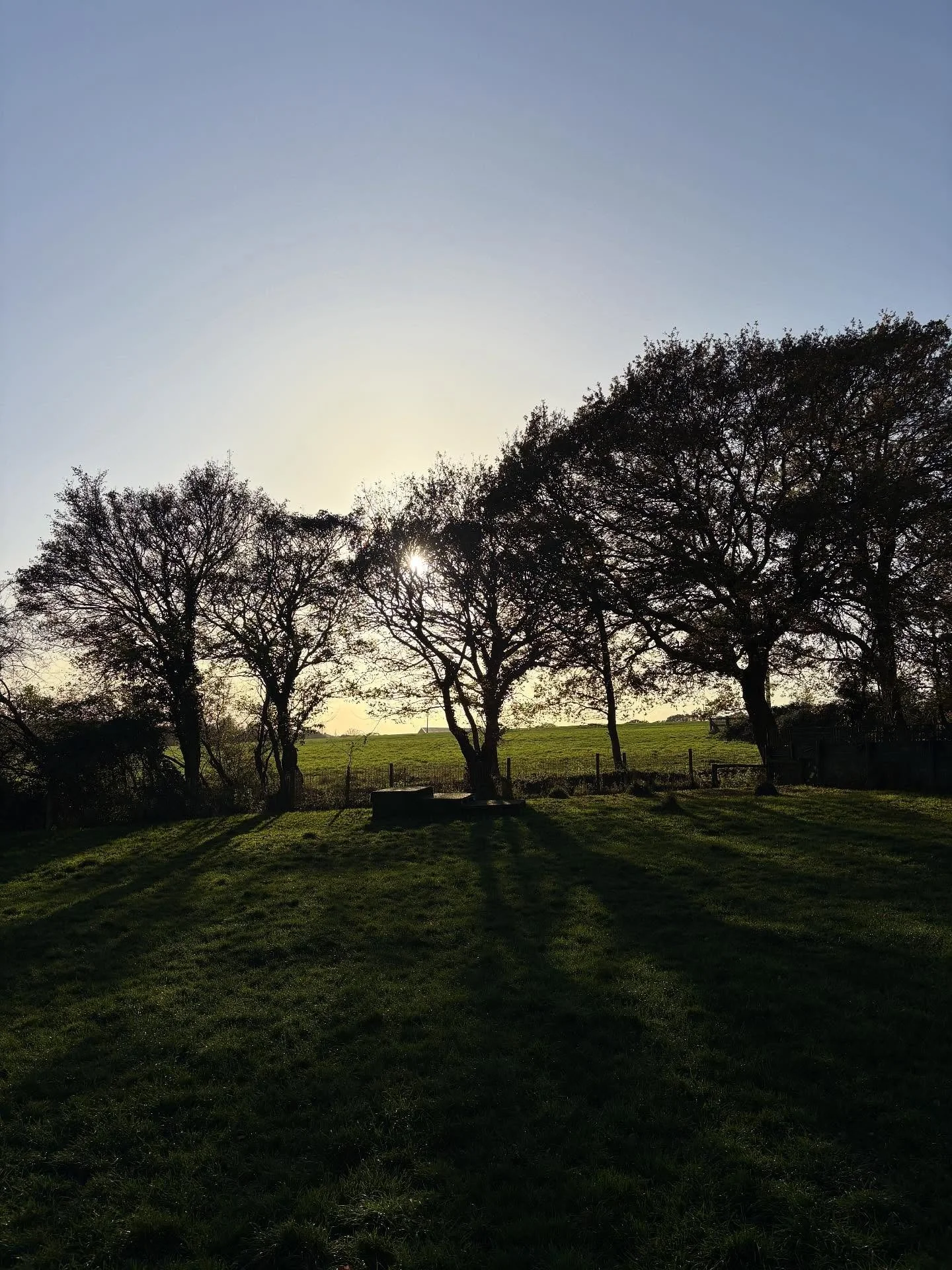A field with a view.

#georgeandfriends #doggydaycarehackney #doggydaycarehackneydowns #hackney #london #homerton #shoplocal #visitlondon #clapton #hackneydogs #dogsofhackney #dogwalking #puppydaycare #doggiedaycare #puppiesofhackney #dogsarelove #do