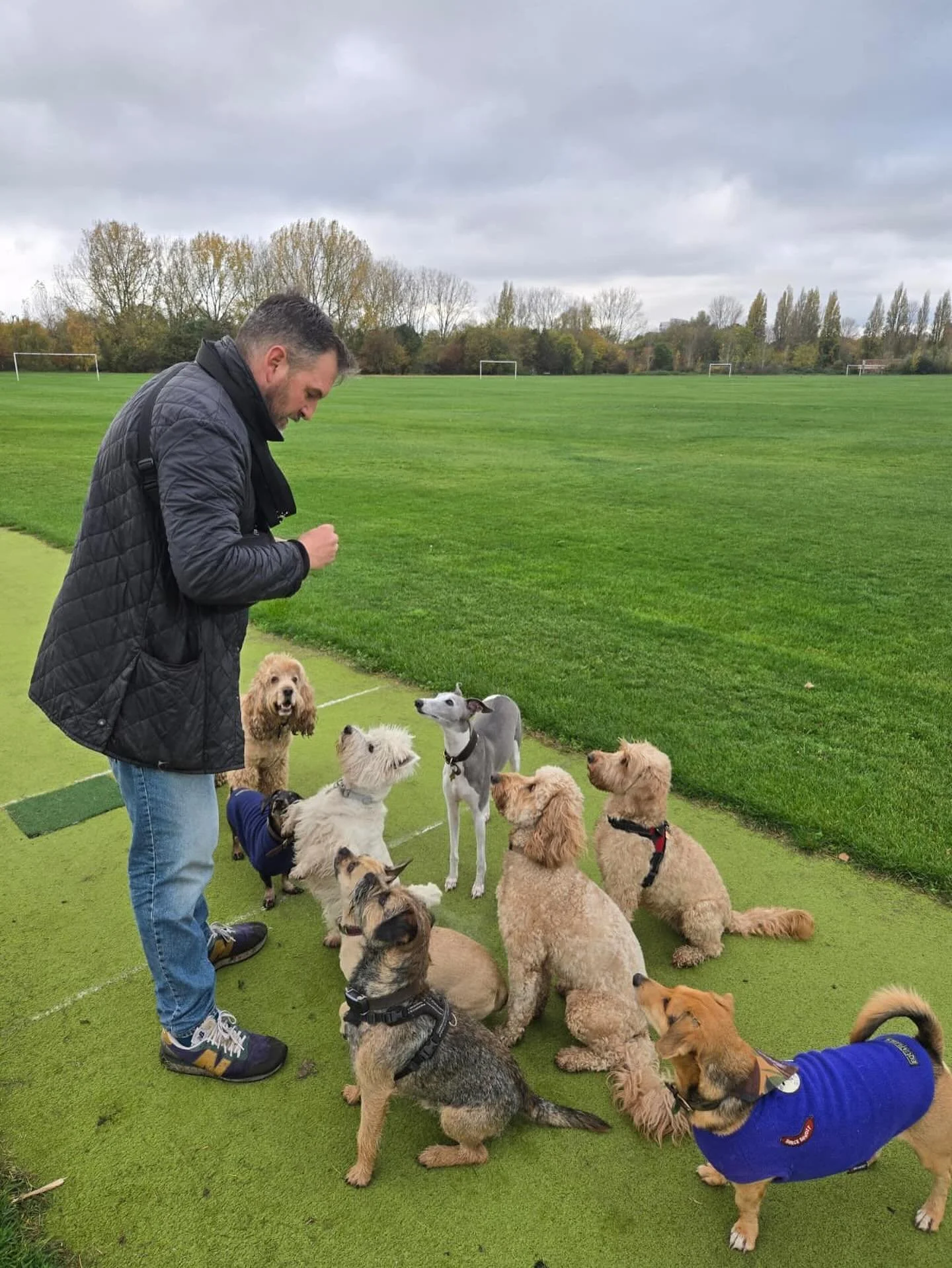 Friyay for the win 🏆 

@actheveny @liz_anne_chapman @theduchessofdalston @adayinthefield_doggiedaycare

#georgeandfriends #doggydaycarehackney #doggydaycarehackneydowns #hackney #london #homerton #shoplocal #visitlondon #clapton #hackneydogs #dogsof