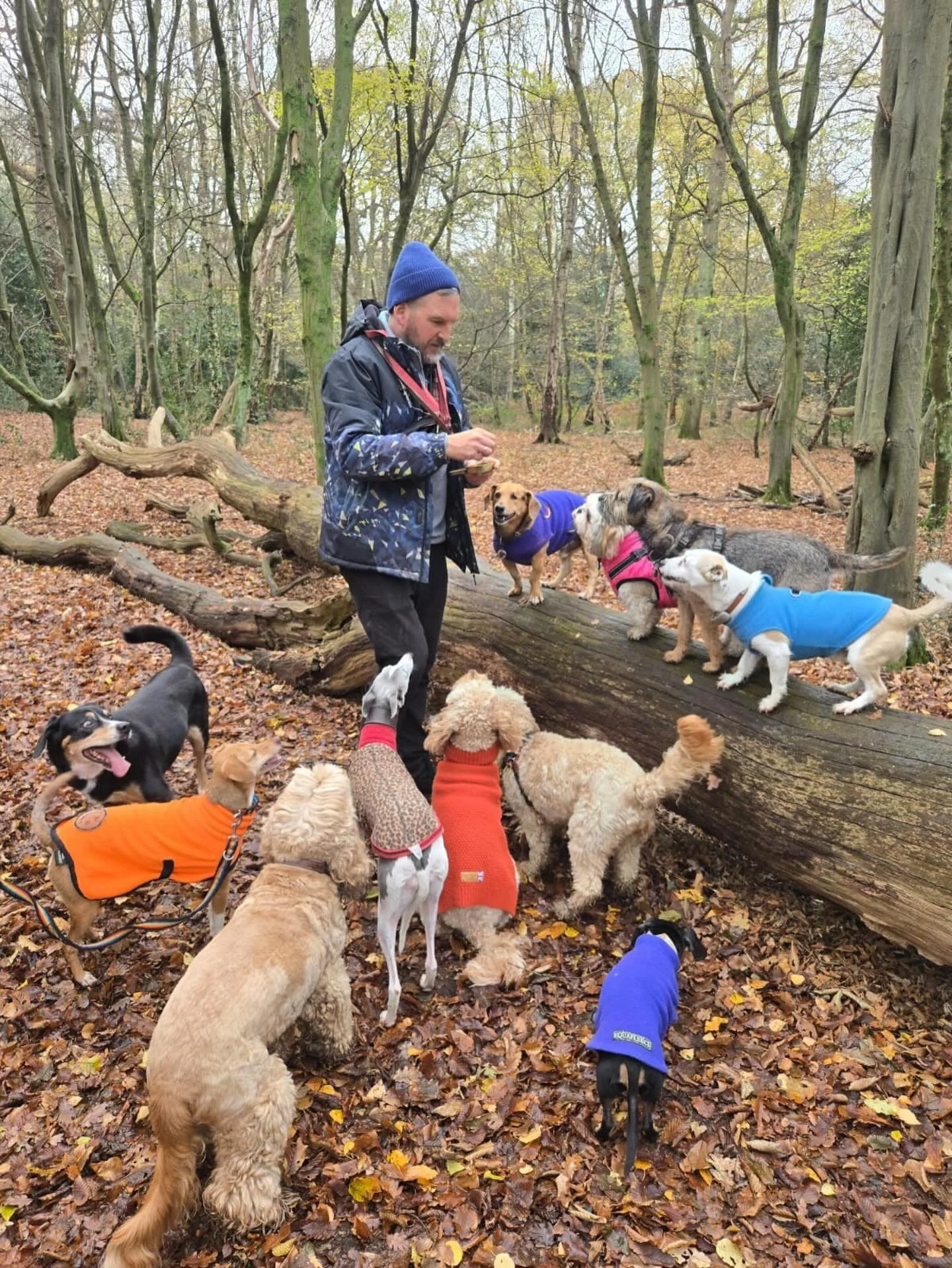 Another pawfect end to a busy, warmer 🙏🏼 week.

@theduchessofdalston @actheveny @lynne.james1 @adayinthefield_doggiedaycare @bootsthewonderdog @phileasfoggtheunderdogg @busybeingabetterhuman @shmarsh2210 

#georgeandfriends #doggydaycarehackney #do