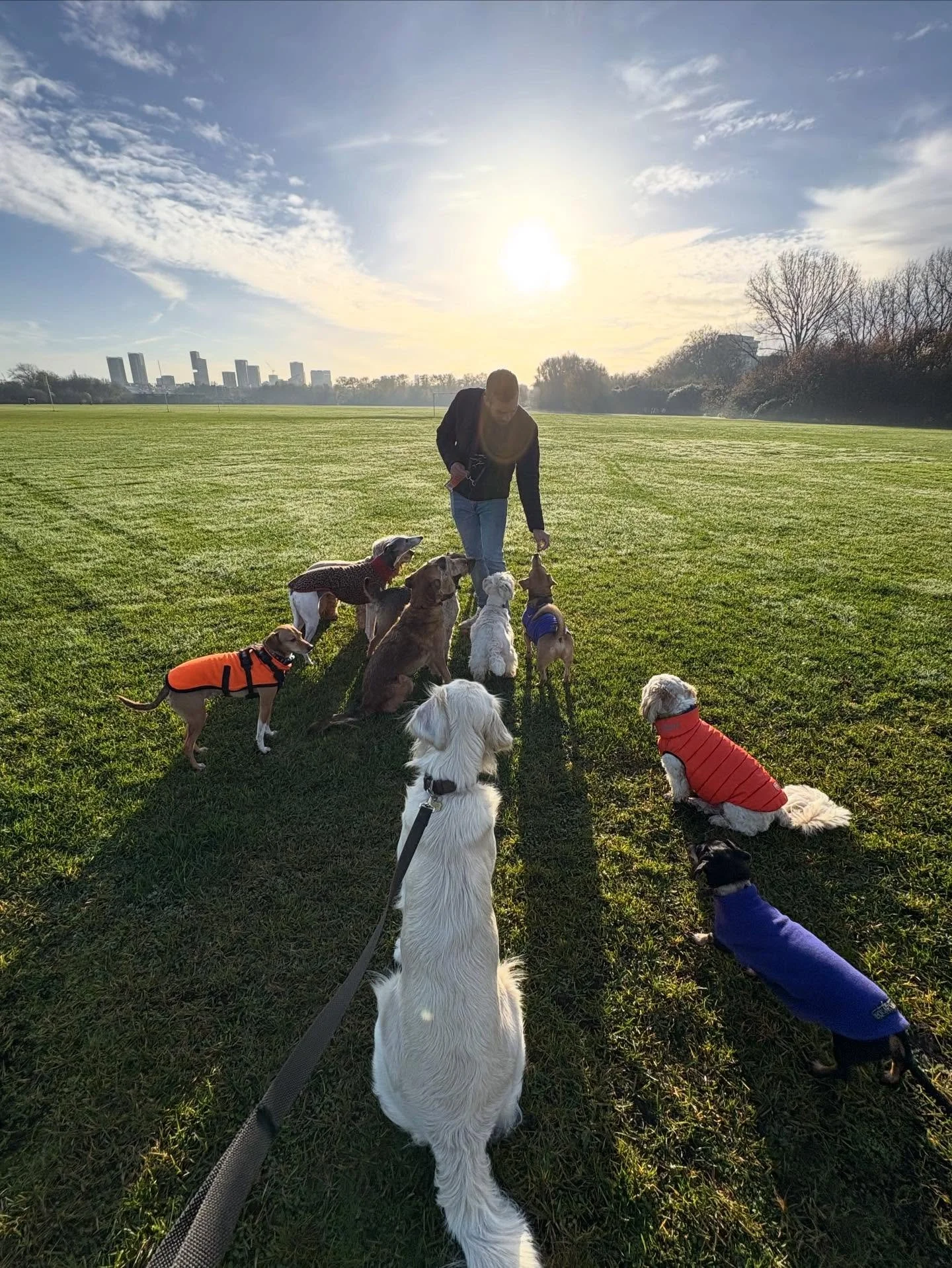 Sunshine &amp; treats to end the week.

@bootsthewonderdog @liz_anne_chapman @actheveny @theduchessofdalston @izzyrudlin @lynne.james1 

#georgeandfriends #doggydaycarehackney #doggydaycarehackneydowns #hackney #london #homerton #shoplocal #visitlond