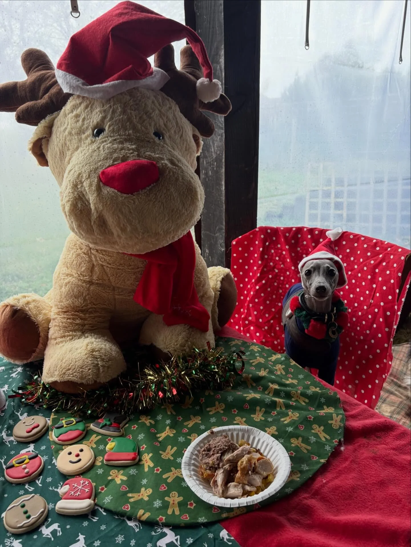 School&rsquo;s out for Vienna.
Thank you for bringing the sass this year. Keep it up in 2026!
Merry Pawsmas xx

@nia.pritch 

#georgeandfriends #doggydaycarehackney #doggydaycarehackneydowns #hackney #london #homerton #shoplocal #visitlondon #clapton