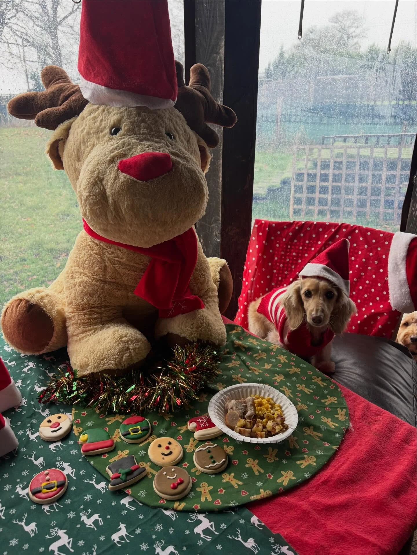 Schools out for Millie.
Thank you for being an integral part of Team Sausage and for always bringing the pawty especially on Mondays.
Merry Pawsmas xx

@mcculloch9733 @quikksillver 

#georgeandfriends #doggydaycarehackney #doggydaycarehackneydowns #h