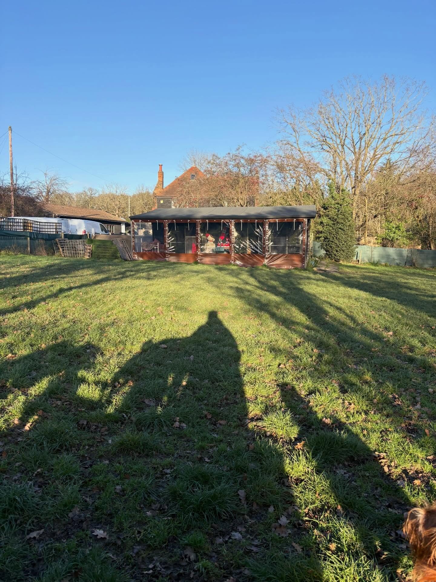 What a way to end our last full week of 2025 🌞
Just 2 days left at the field and then it&rsquo;s 🎄

@adayinthefield_doggiedaycare 

#georgeandfriends #doggydaycarehackney #doggydaycarehackneydowns #hackney #london homerton shoplocal visitlondon cla