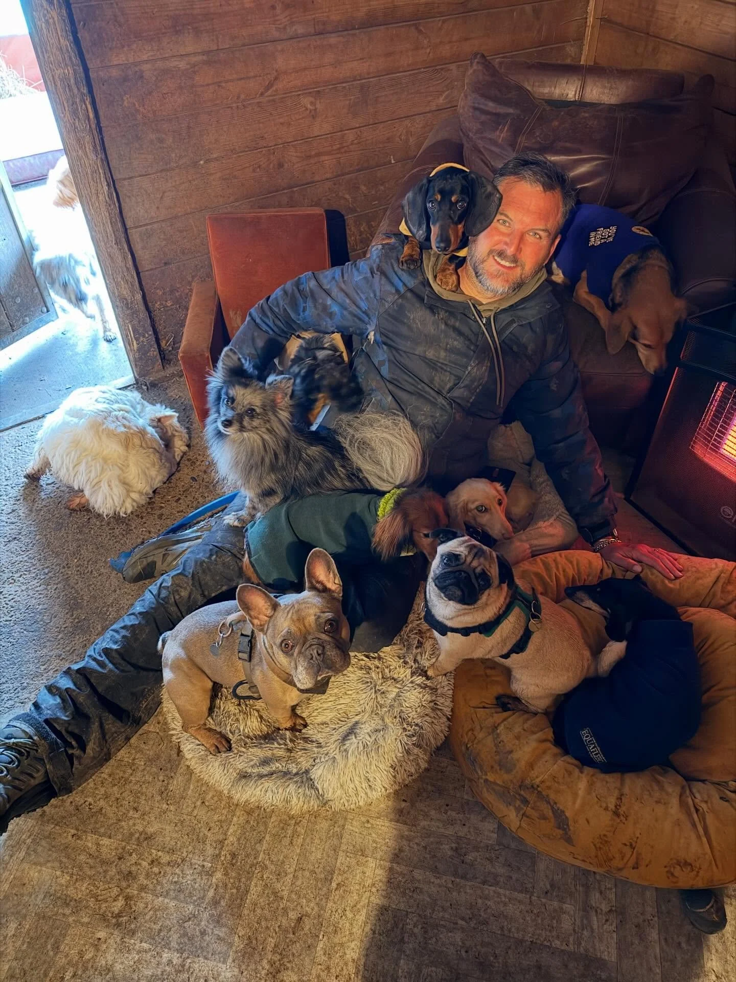 Furst day back ❤️

@misstraciarlene @fujitakaoru @mcculloch9733 @quikksillver @truffle.sausage @actheveny @rlafebrebailey @angelbabyspike @liz_anne_chapman 

#georgeandfriends #doggydaycarehackney #doggydaycarehackneydowns #hackney #london homerton s