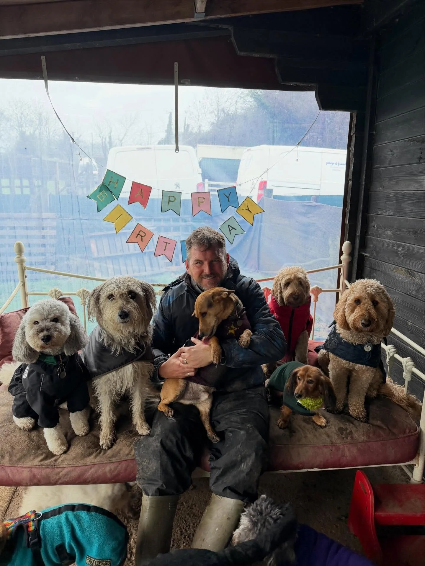 Feeling the love ❤️ 

@mollygramming @dorathegreek @rlafebrebailey 

#georgeandfriends #doggydaycarehackney #doggydaycarehackneydowns #hackney #london homerton shoplocal visitlondon clapton hackneydogs dogsofhackney dogwalking puppydaycare doggiedayc