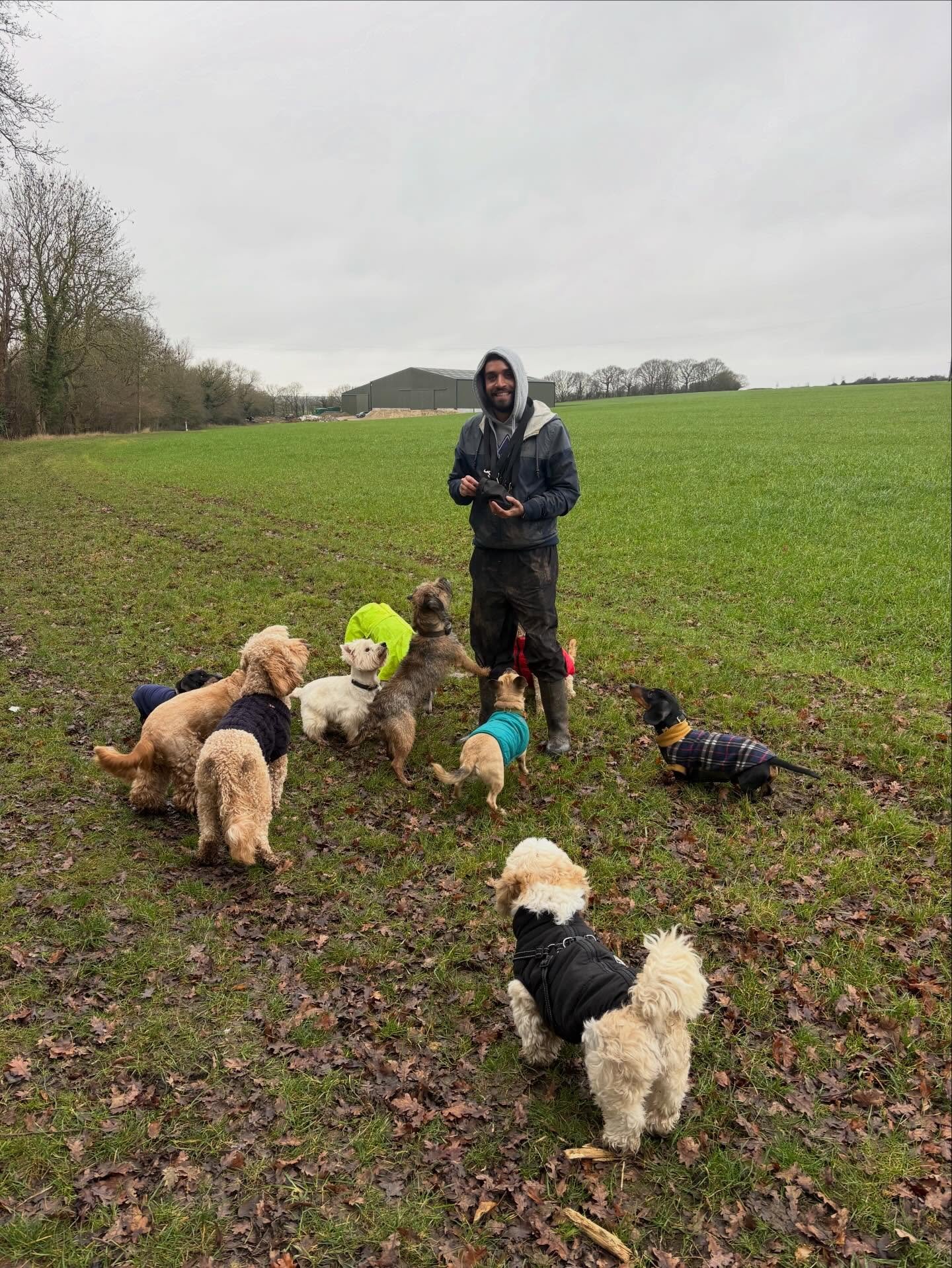 Friyay feels 

@adayinthefield_doggiedaycare @liz_anne_chapman @actheveny @theduchessofdalston @lynne.james1 

#georgeandfriends #doggydaycarehackney #doggydaycarehackneydowns #hackney #london homerton shoplocal visitlondon clapton hackneydogs dogsof