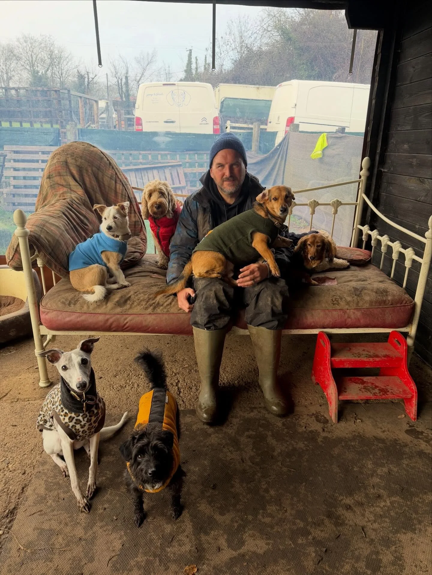 That&rsquo;s January in the bag.
Would like less rain/mud in February please.
Thanks.

@phileasfoggtheunderdogg @rlafebrebailey @mcculloch9733 @quikksillver @adayinthefield_doggiedaycare 

#georgeandfriends #doggydaycarehackney #doggydaycarehackneydo