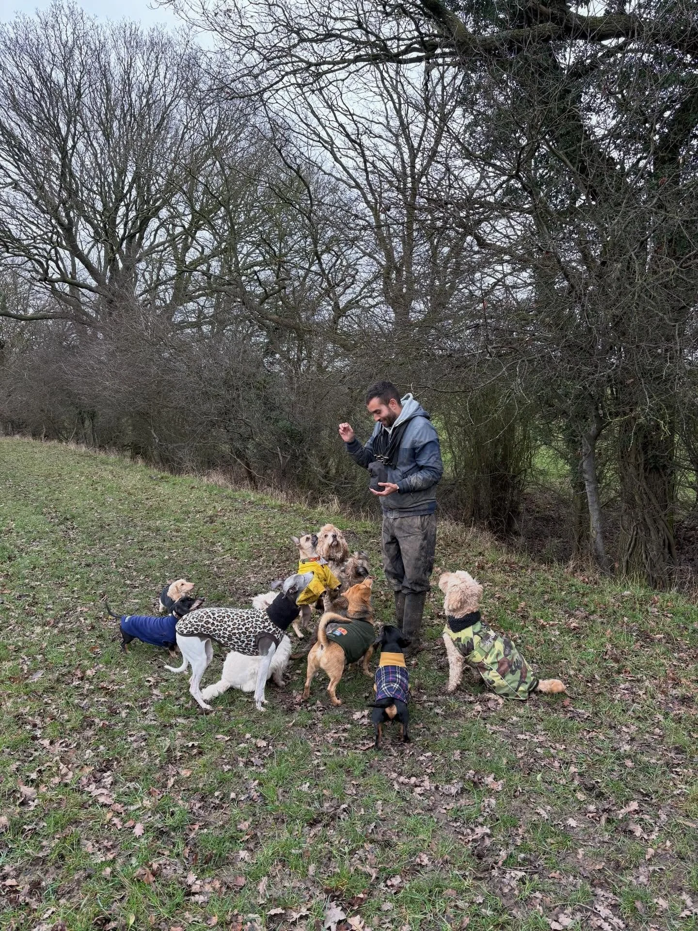 All 👀s on @adayinthefield_doggiedaycare 

@liz_anne_chapman @actheveny @theduchessofdalston @mcculloch9733 @quikksillver 

#georgeandfriends #doggydaycarehackney #doggydaycarehackneydowns #hackney #london homerton shoplocal visitlondon clapton hackn
