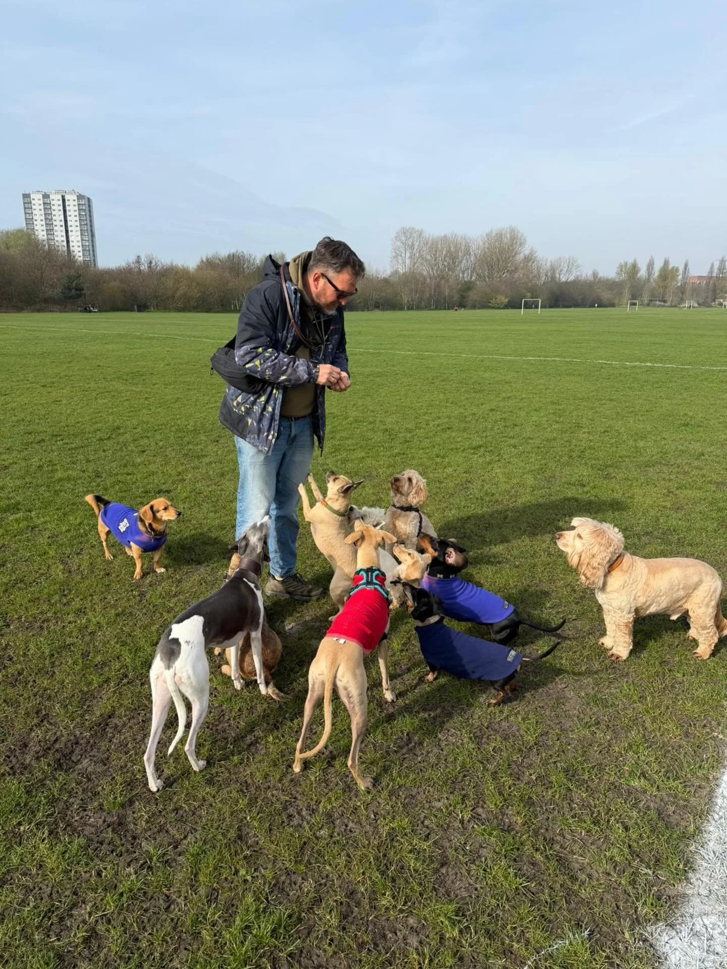 Friyays done right.

@liz_anne_chapman @actheveny @theduchessofdalston @daisygod @everything__must__grow @mcculloch9733 @quikksillver @georgie_and_winnie 

#georgeandfriends #doggydaycarehackney #doggydaycarehackneydowns #hackney #london homerton sho