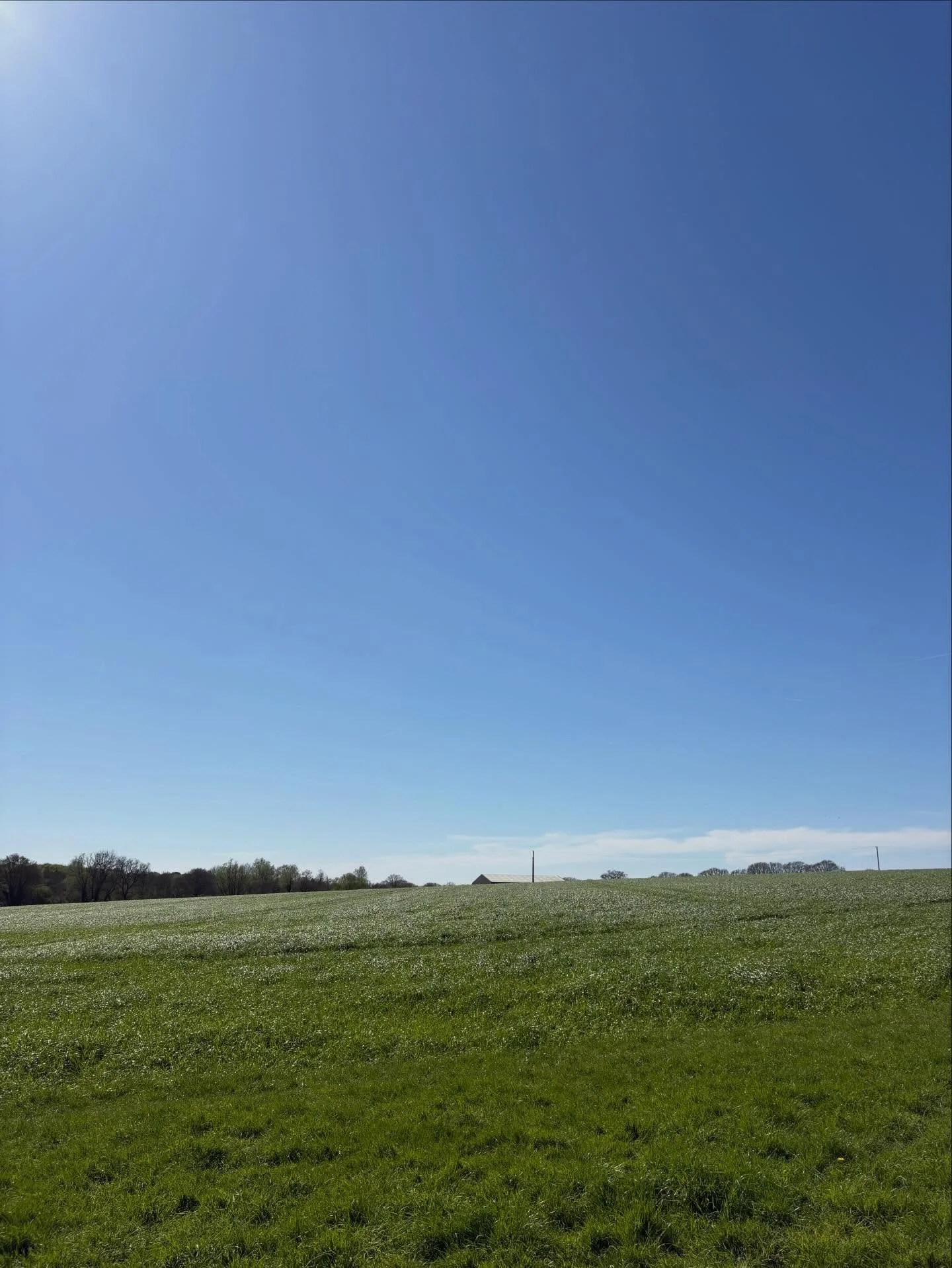 Yesterday, today, same again tomorrow please 🙏🏼

#georgeandfriends #doggydaycarehackney #doggydaycarehackneydowns #hackney #london homerton shoplocal visitlondon clapton hackneydogs dogsofhackney dogwalking puppydaycare doggiedaycare puppiesofhackn