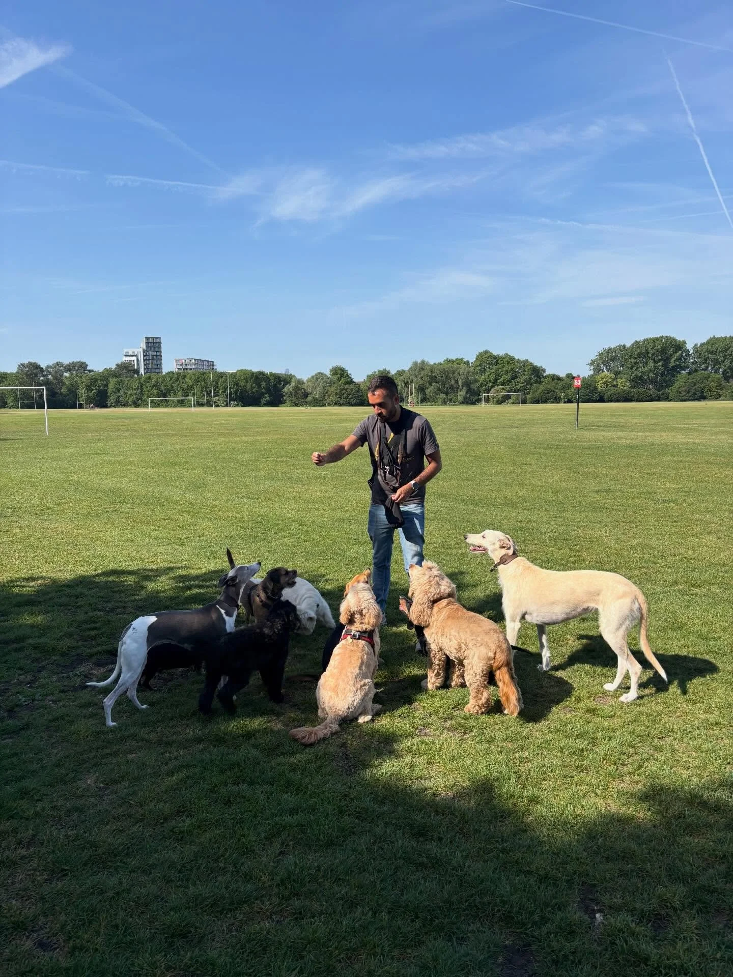 Summer is FINALLY here!
What a way to end the week and to start the bank holiday weekend.
See you Tuesday 🌞

@adayinthefield_doggiedaycare  @georgie_winnie_tofu @liz_anne_chapman @theduchessofdalston @actheveny 

#georgeandfriends #doggydaycarehackn