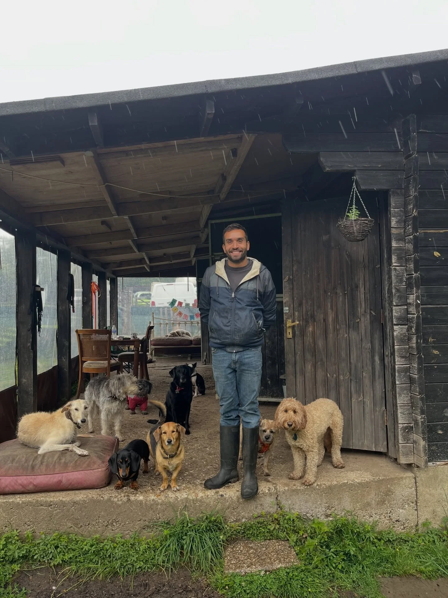 Back in wellies ☔️ 

@adayinthefield_doggiedaycare @alba_salukigreyhound @dorathegreek @georgie_winnie_tofu 
#georgeandfriends #doggydaycarehackney #doggydaycarehackneydowns #hackney #hackneydownsstudios london homerton shoplocal visitlondon clapton 