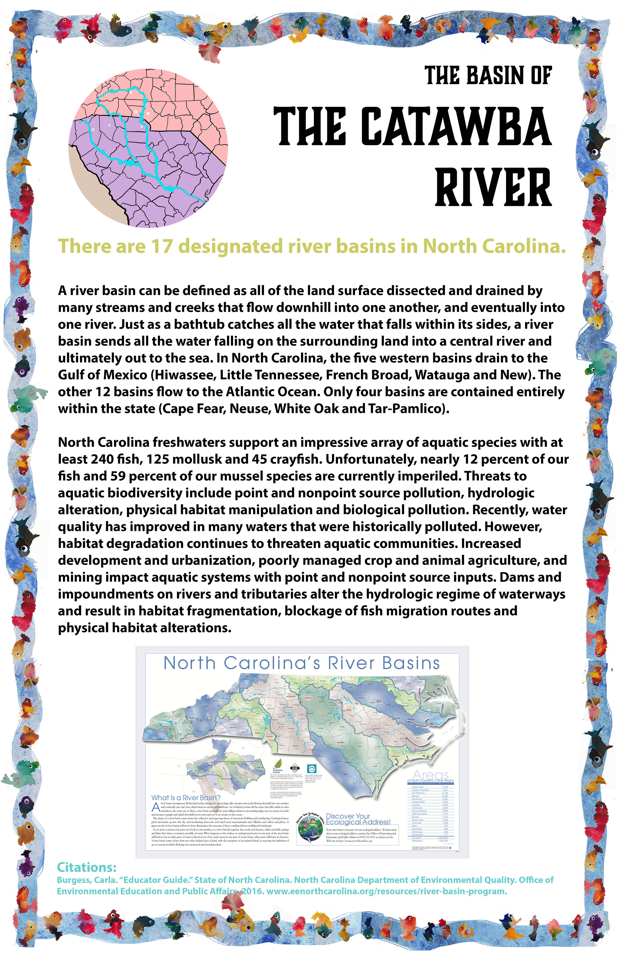 River Basin_final.jpg