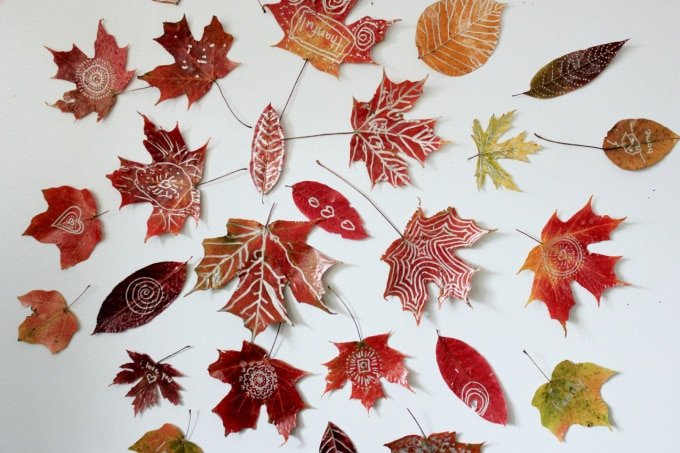 leaf-mandalas-on-wall.jpeg