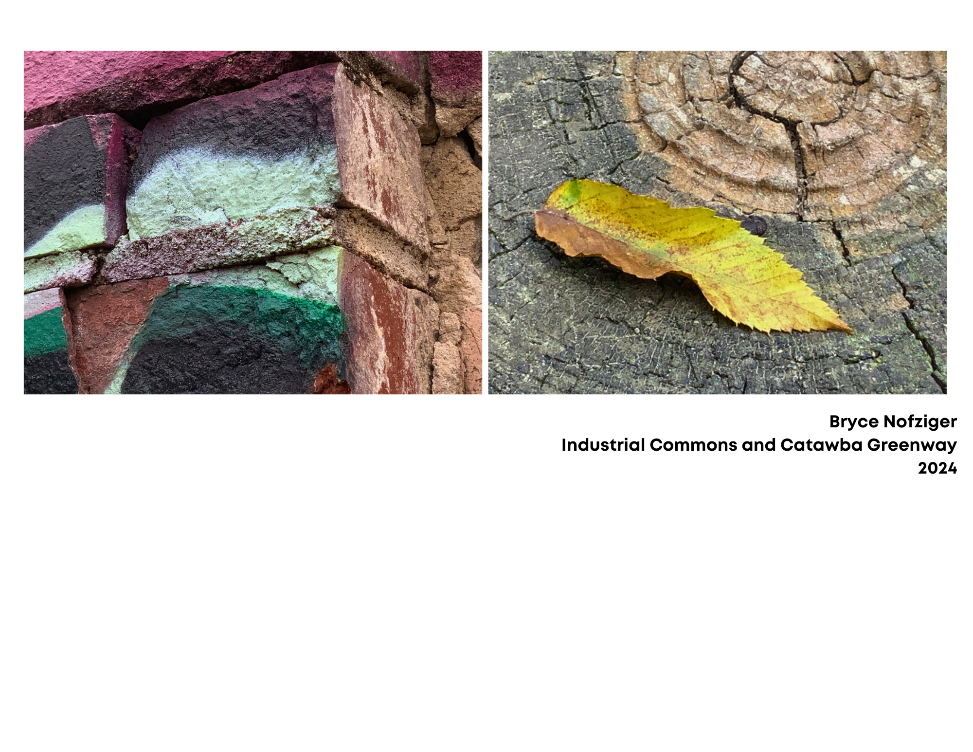 Photo Journalism: Summer 2024