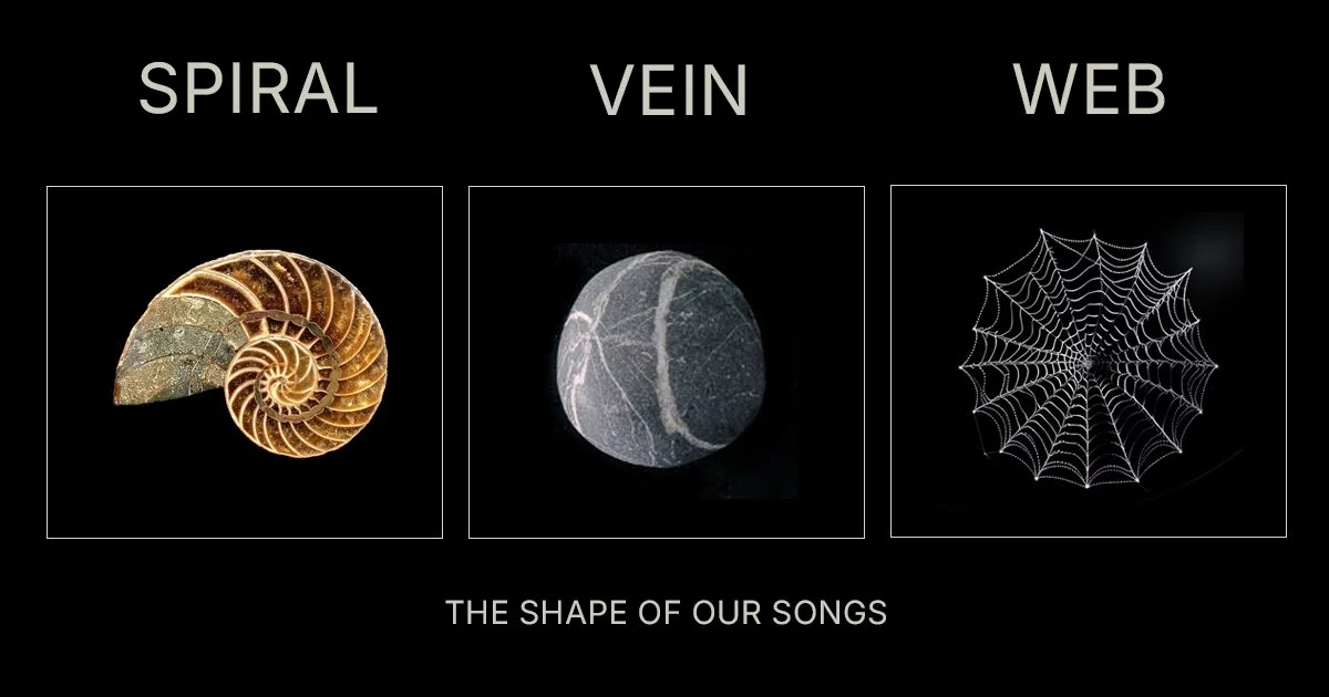 Spiral Vein Web banner.jpg