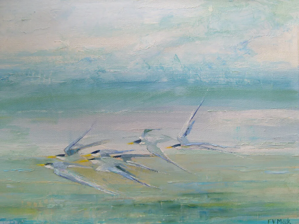 Little Terns