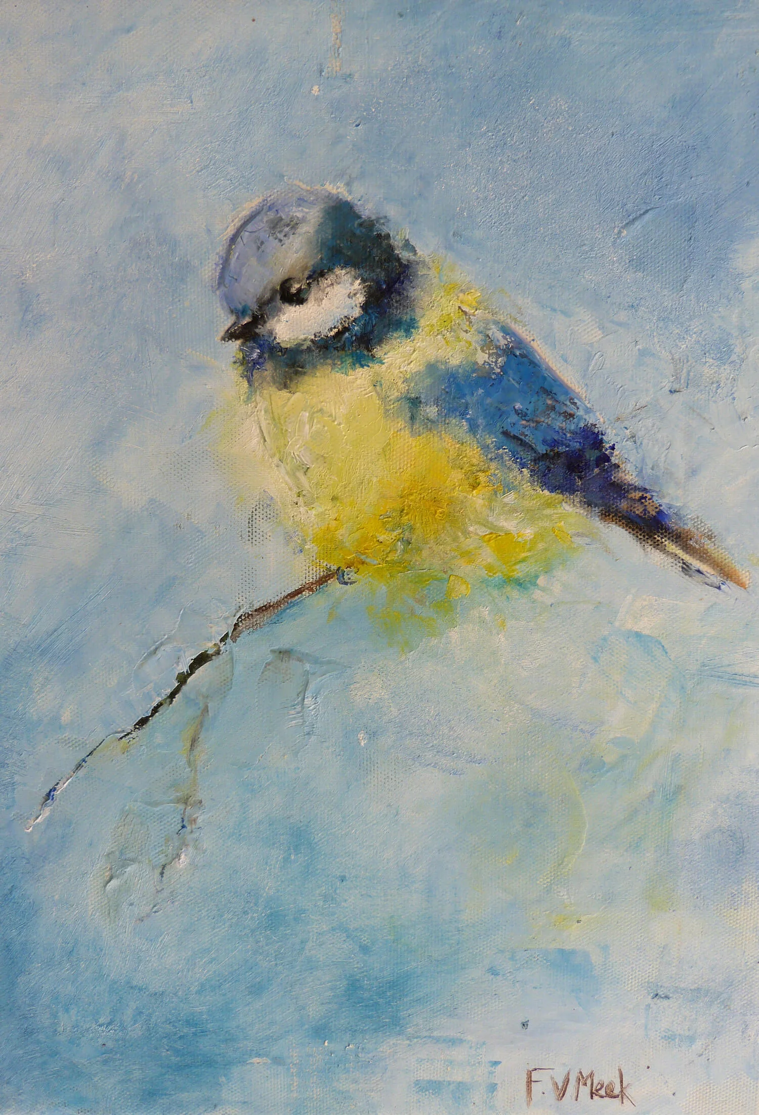 Blue-tit2.jpg