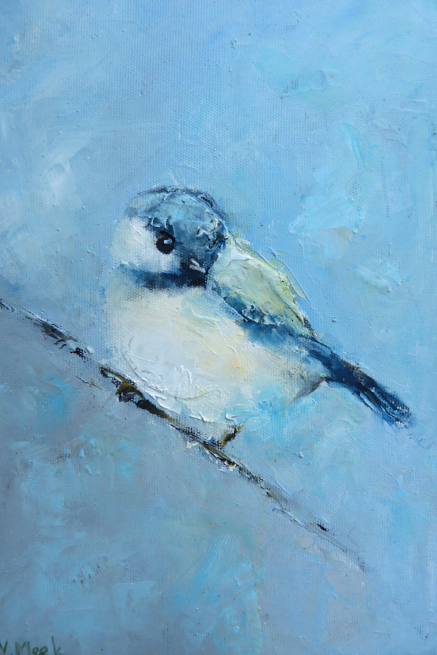 Great-tit.jpg