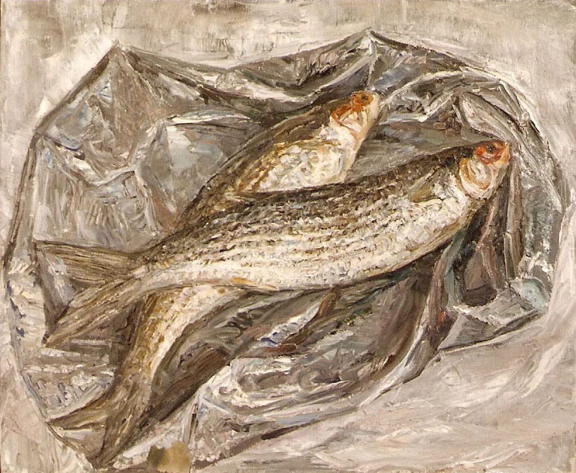 Silver Fish