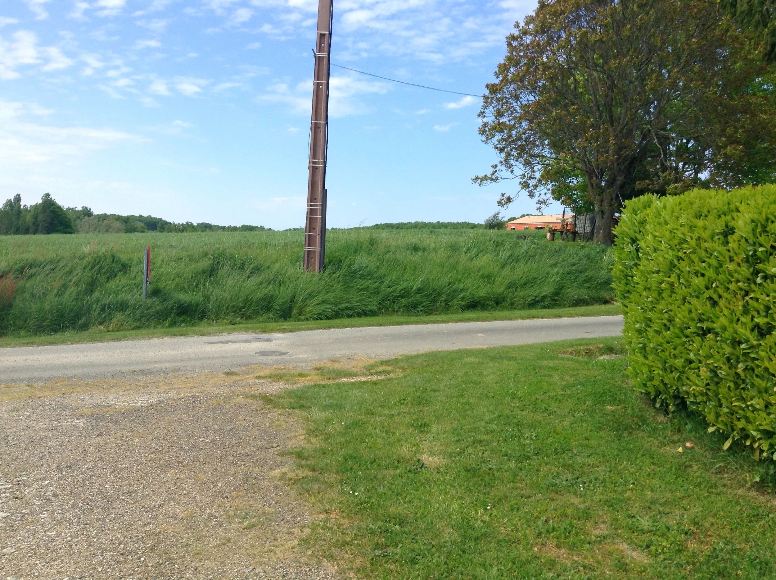 Area at end of drive where Garbage can was expertly and very Frenchly placed and yet curiously not collected....