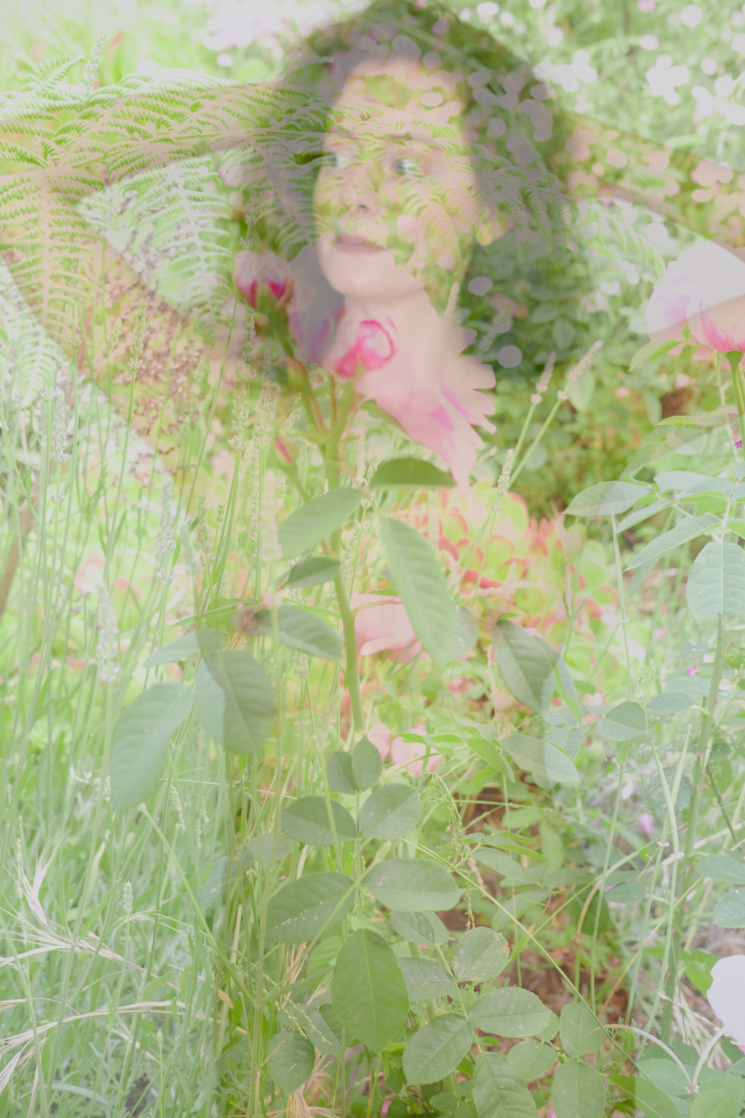 DSCF4971.jpg