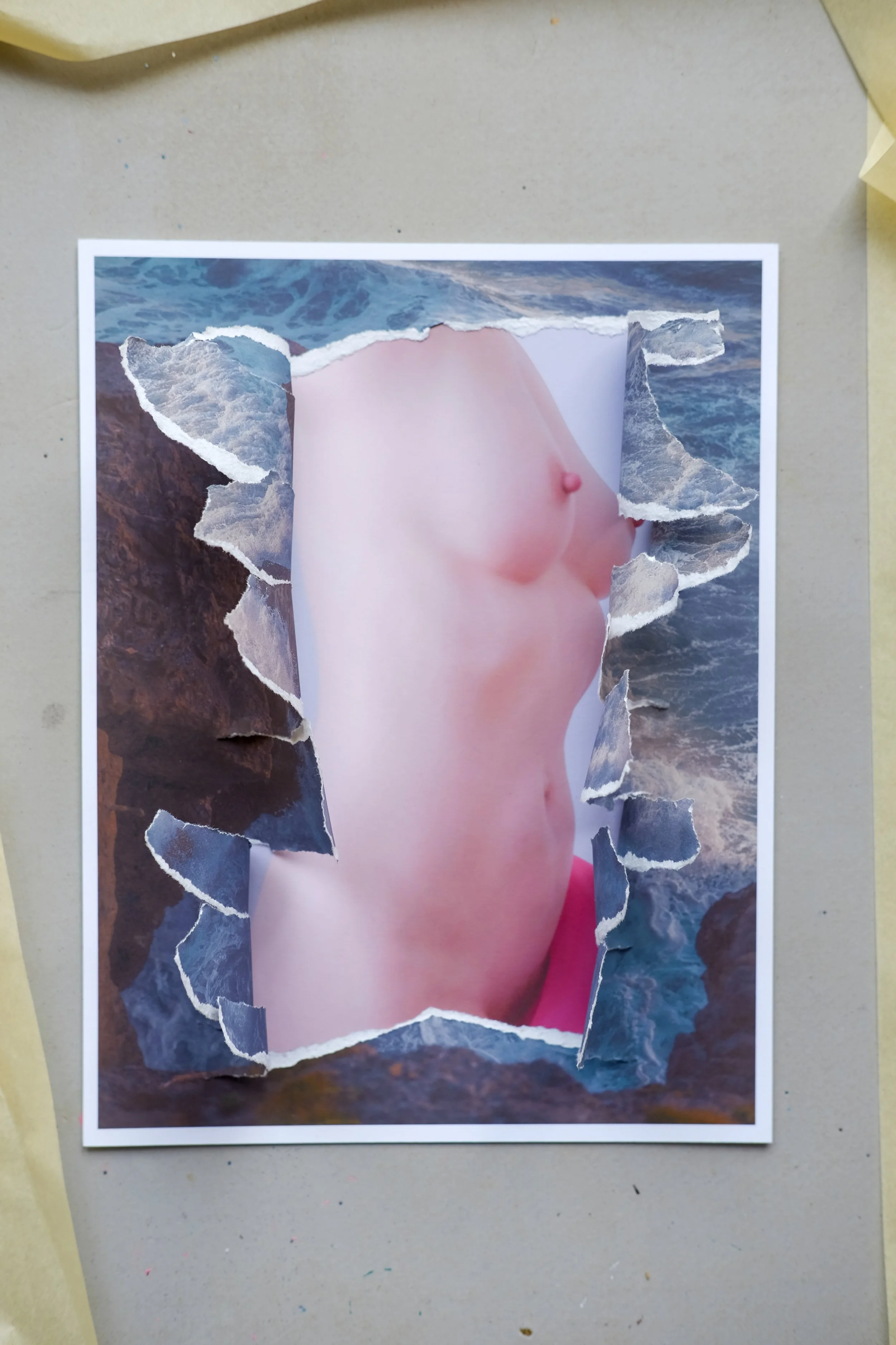 Torn Coast