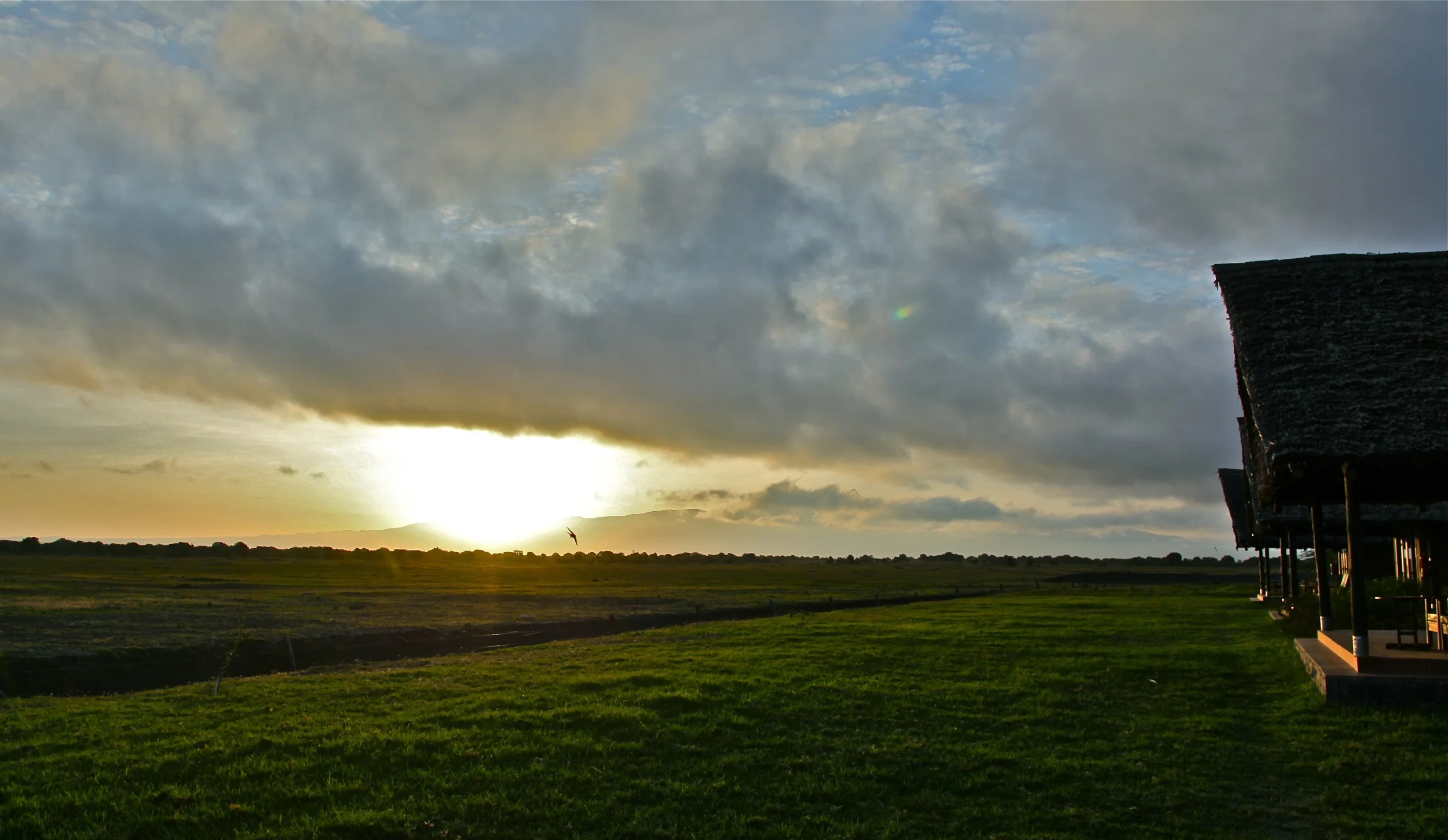 IMG_7143.jpg