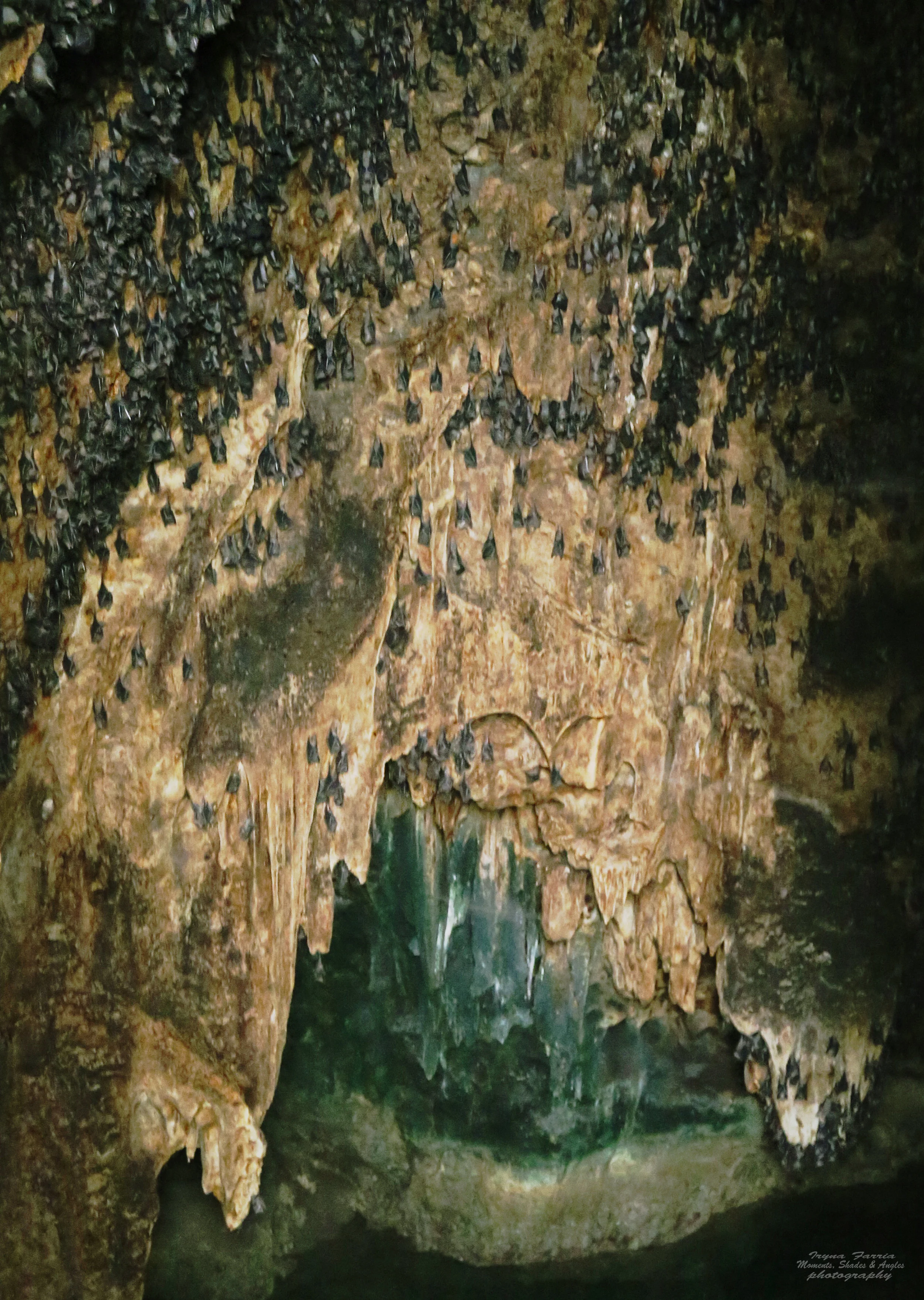 2O7A3663.jpg