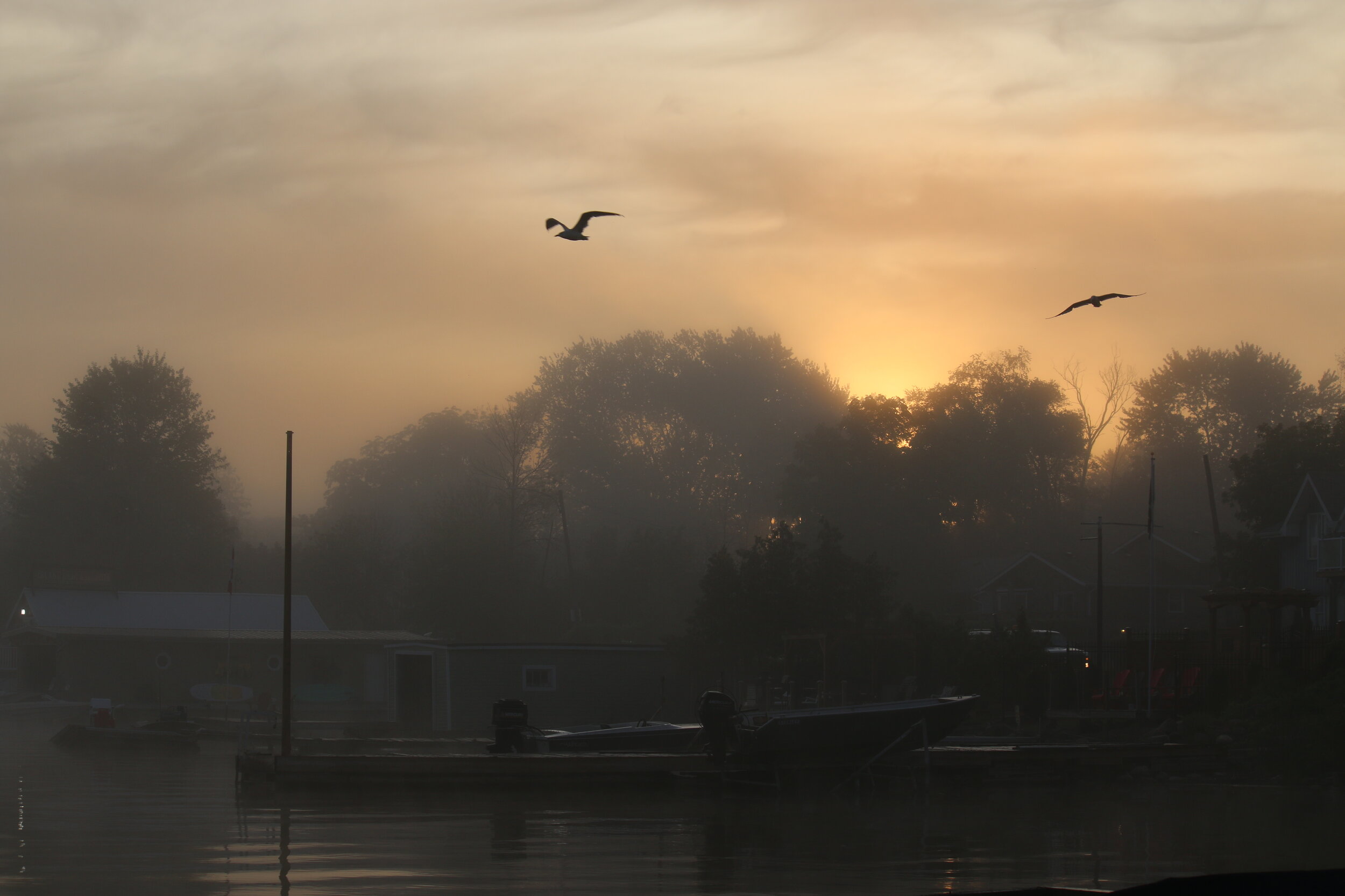 Sunrise at the wharf.