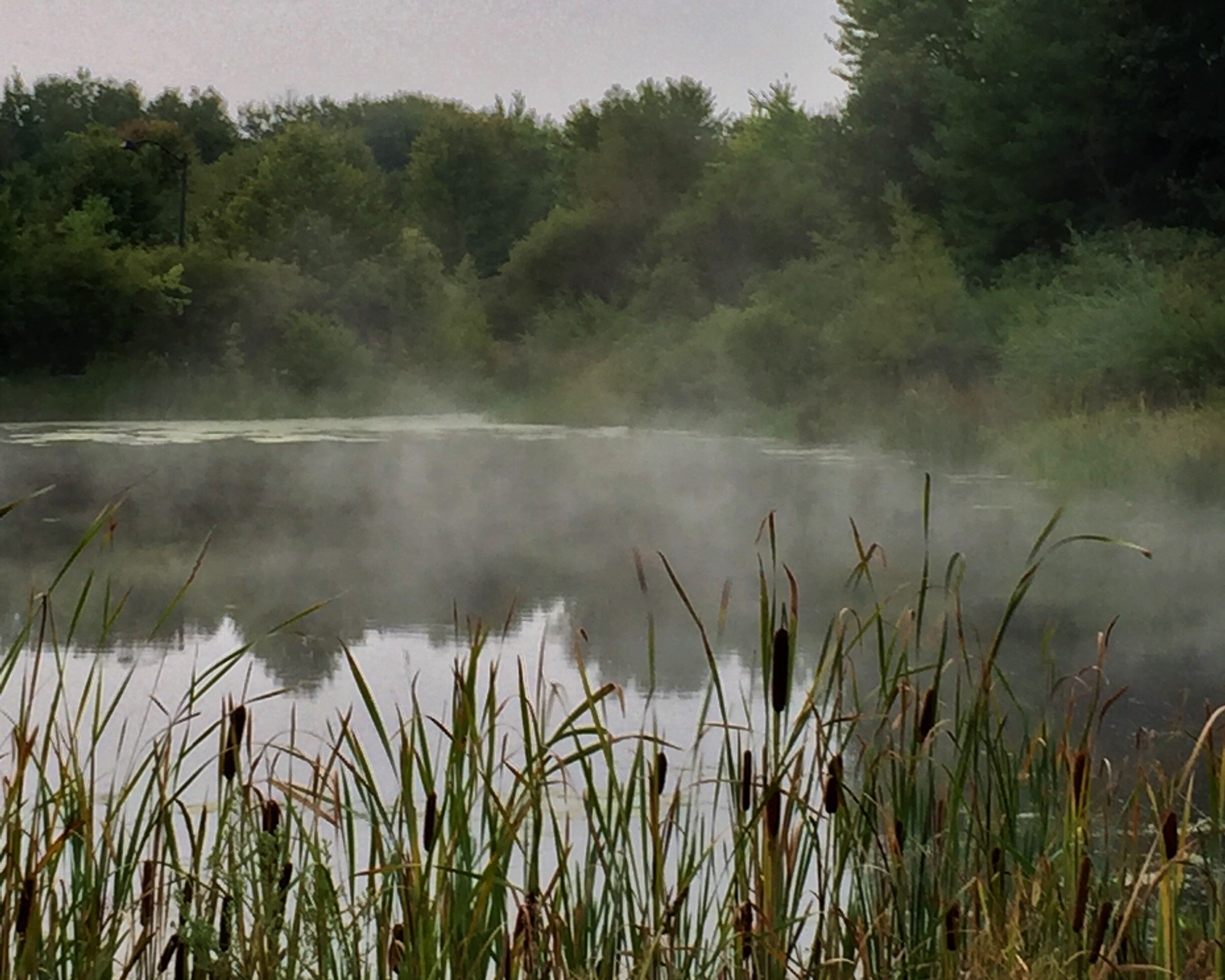 Misty November morning.