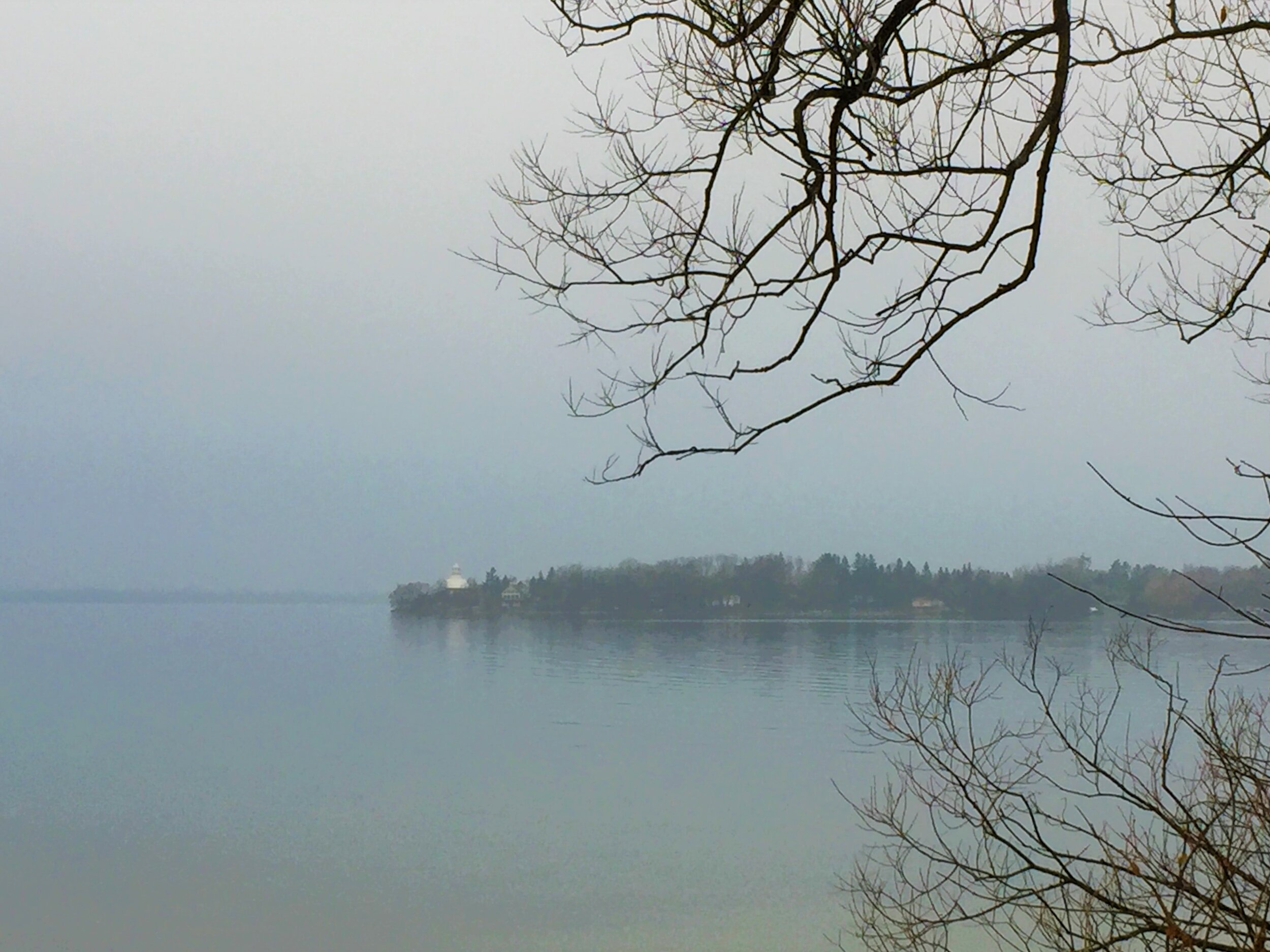 End of November morning mist looking at Snake Island.