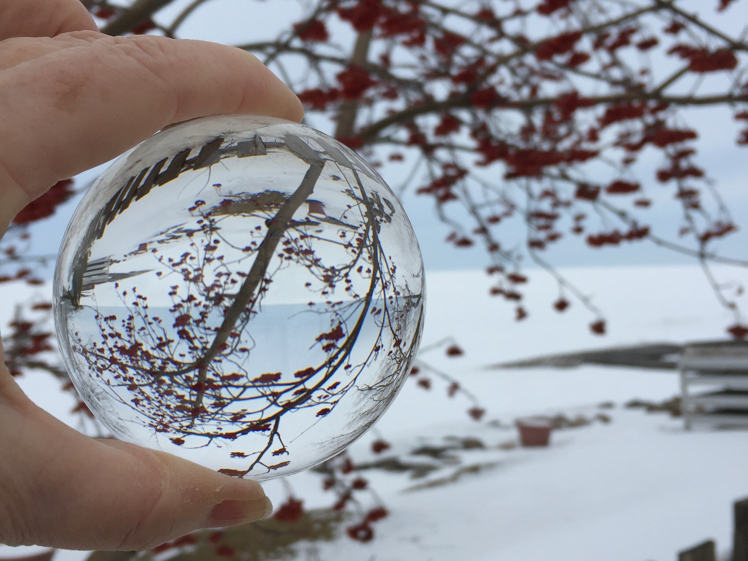 Lensball in nature. March.