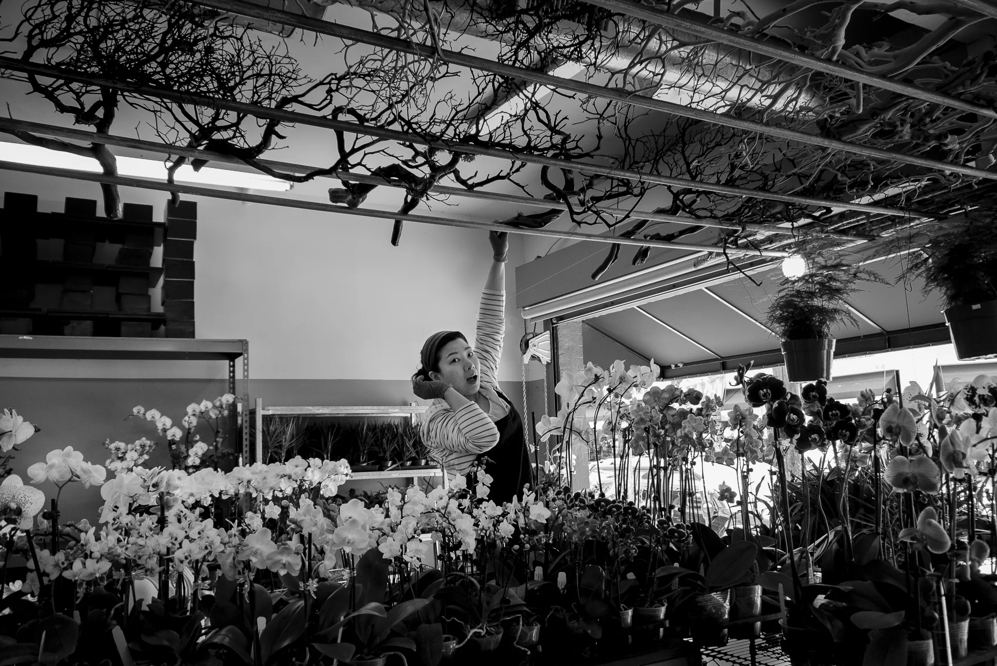 Flower Lady Flowers are my children and I sell them. People buy flowers to make their houses more happy, or else they buy them to give a sick friend. Children get flowers so they can learn to keep a life alive, and be responsible. When nobody buys flowers, my children die, but I can’t be too sad. That’s business. Fioraia I fiori sono i miei bambini e li vendo. La gente compra fiori per rallegrare le loro case, o per regalarli agli amici malati. Danno fiori ai ragazzi per insegnarli a mantenere viva una vita, a essere responsabili. Quando nessuno compra fiori, alcuni miei bambini muoiono, ma non posso essere troppo triste. Sono solo affari.