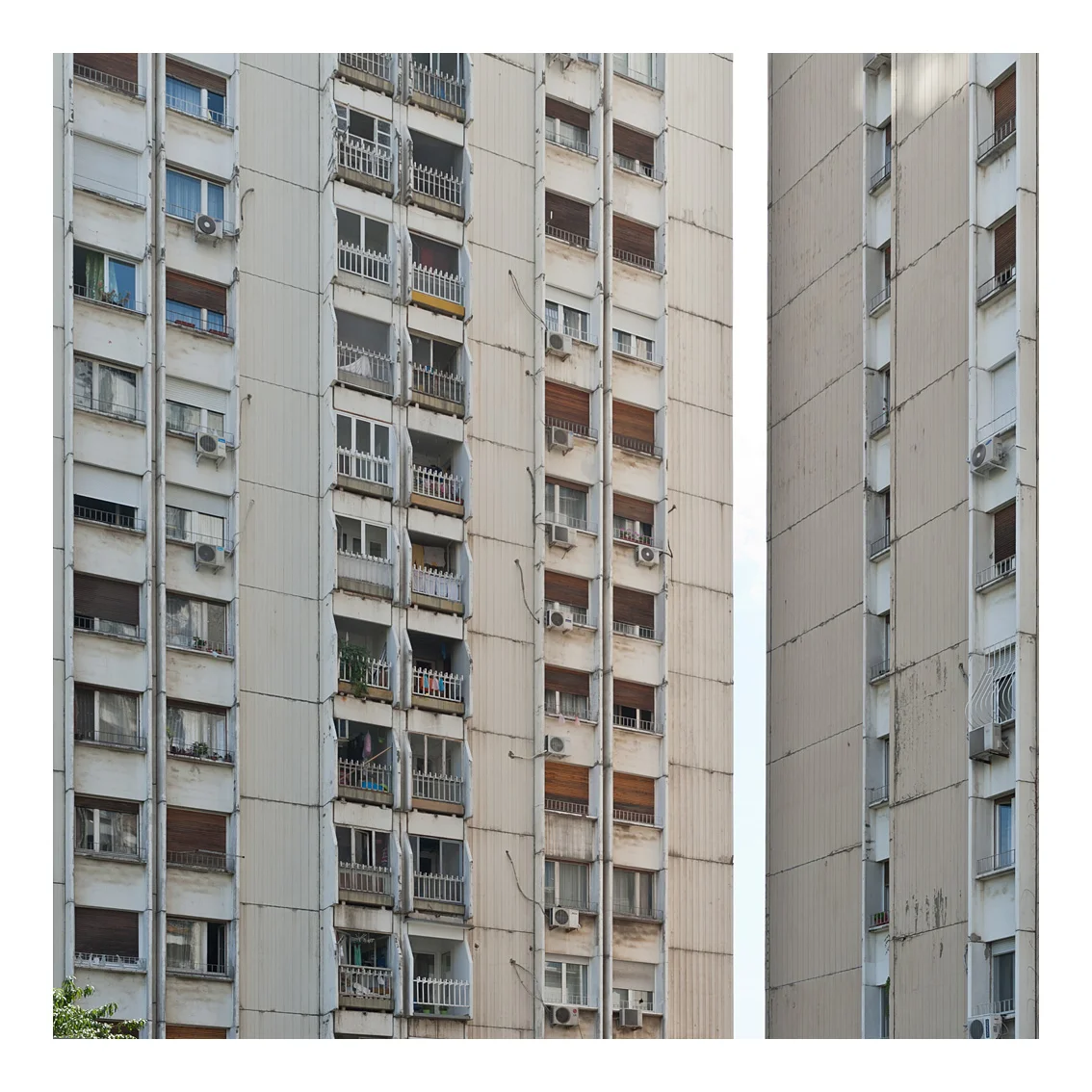 Francesco Niccolai, Beograd 2014