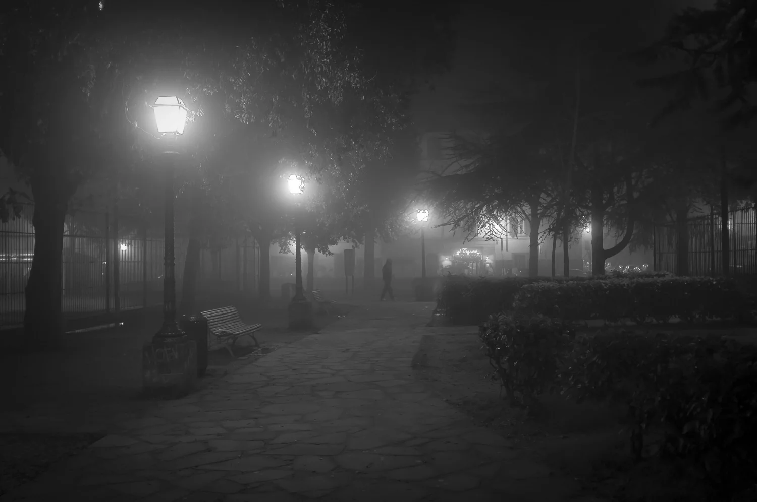 fotografia di Carlo Zei