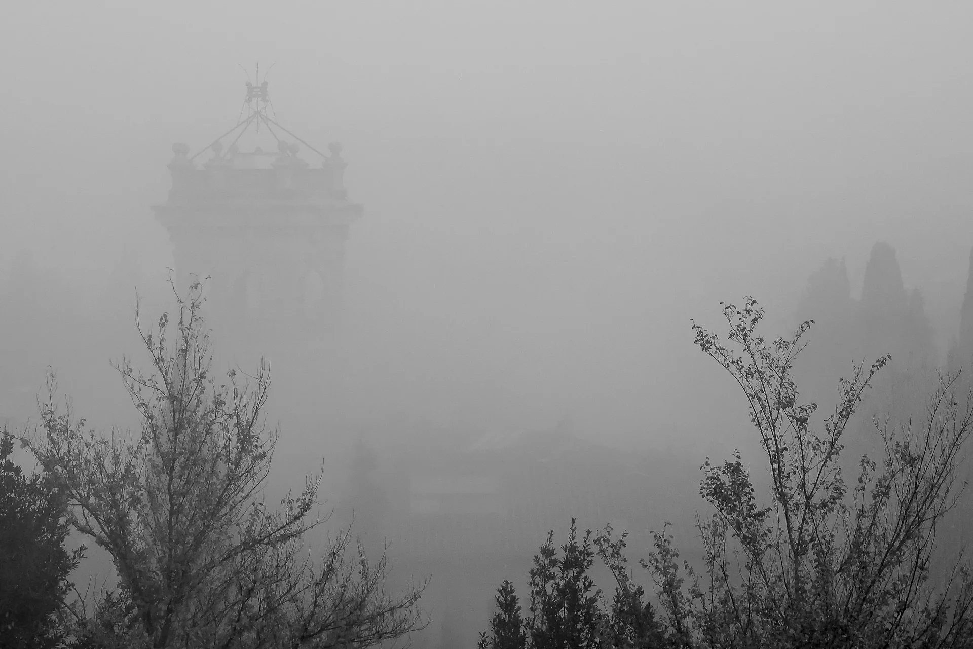 Firenze, 2014