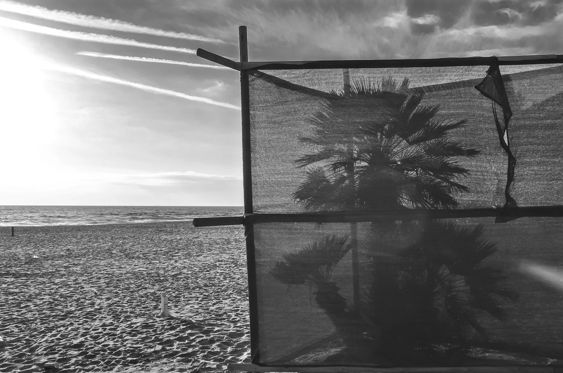 Forte Dei Marmi, 2011