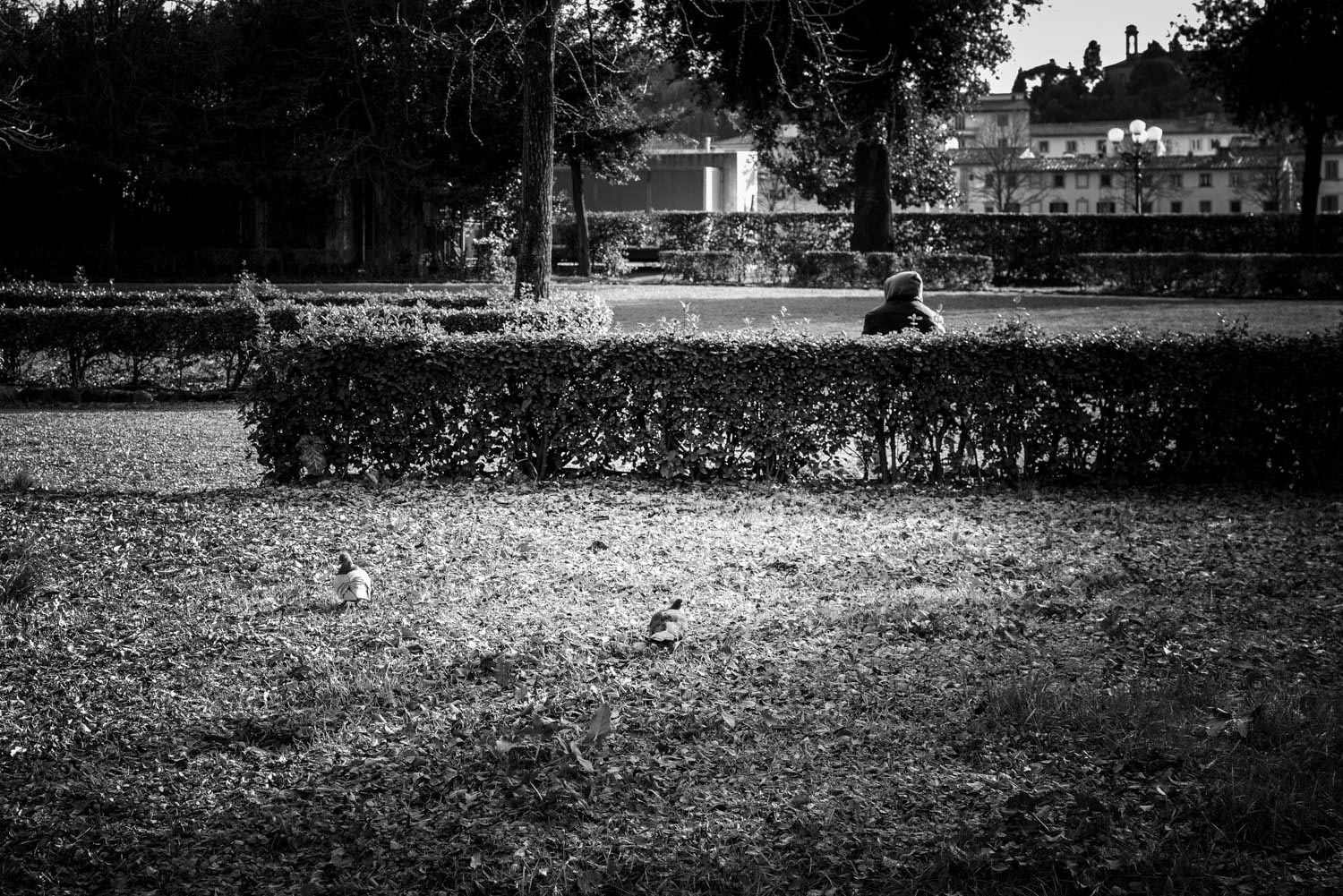 fotografia di Carlo Zei