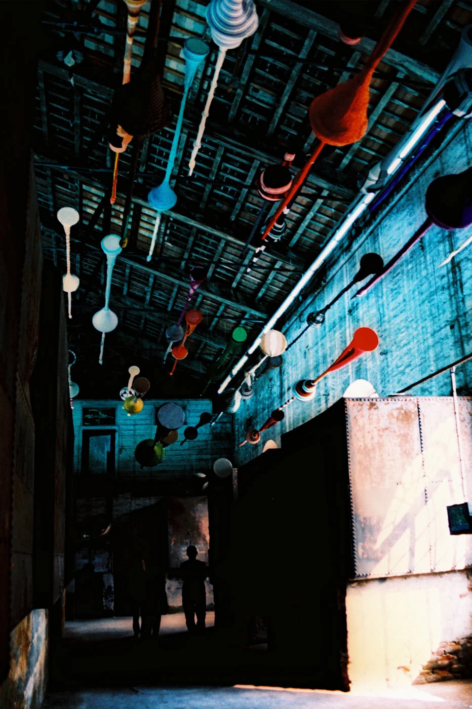 fotografia di Bärbel Reinhard